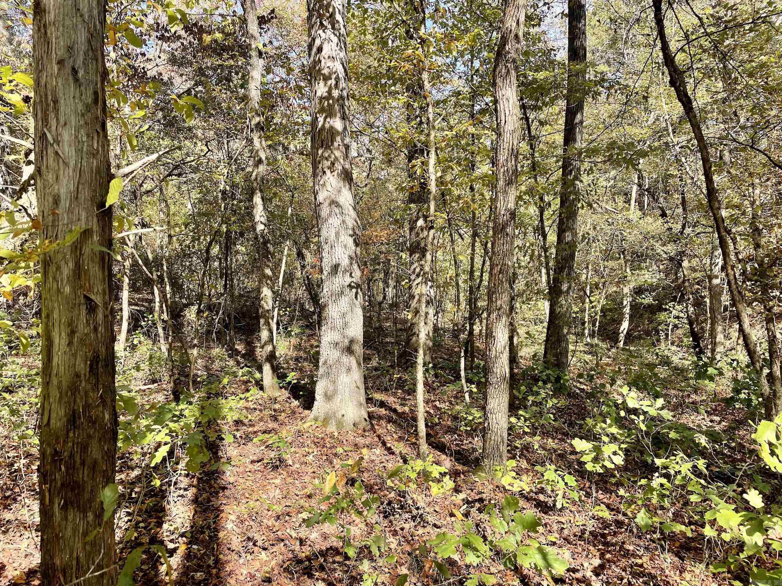 002  Overton Road  Shirley, AR