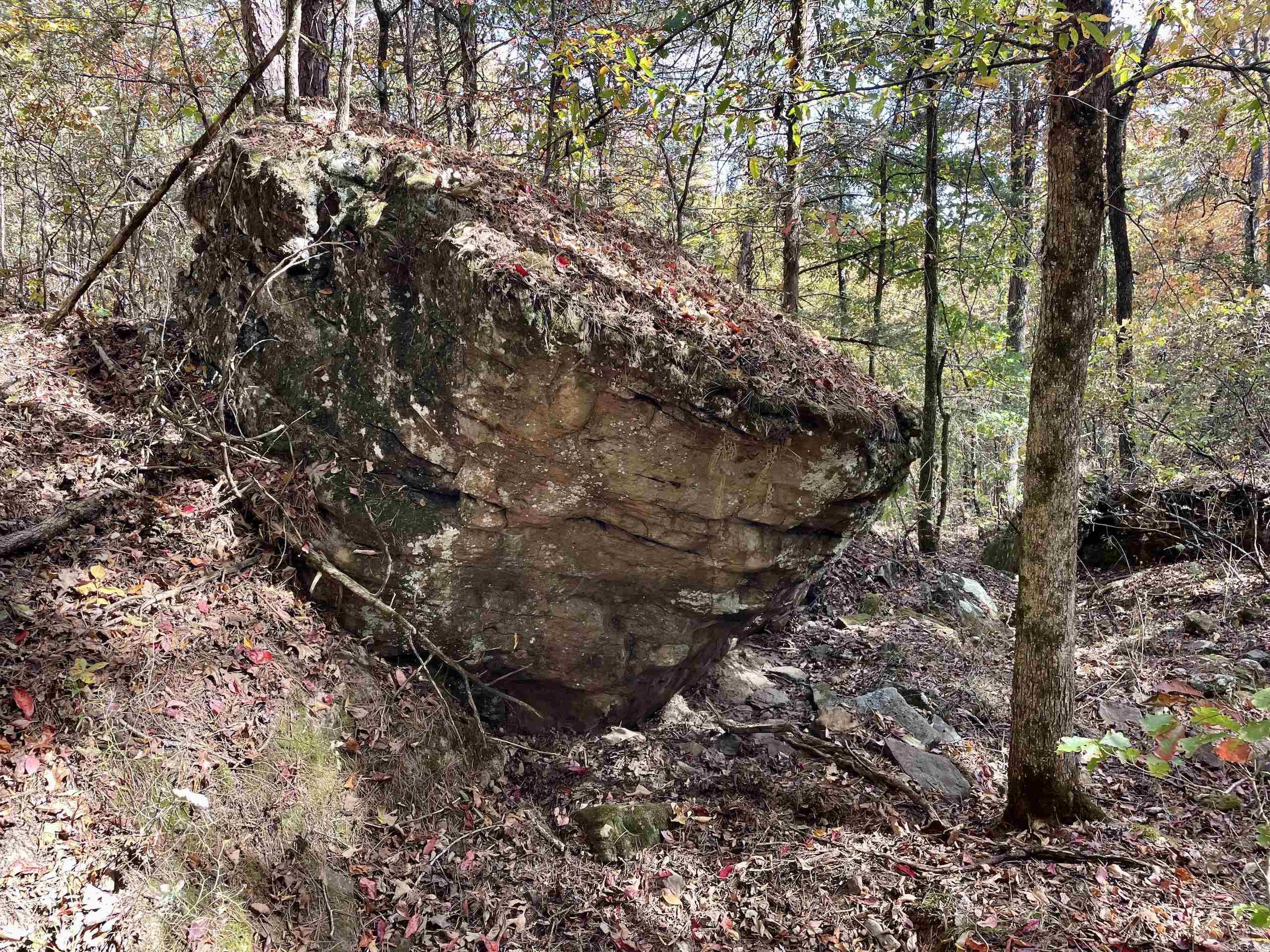 002  Overton Road  Shirley, AR