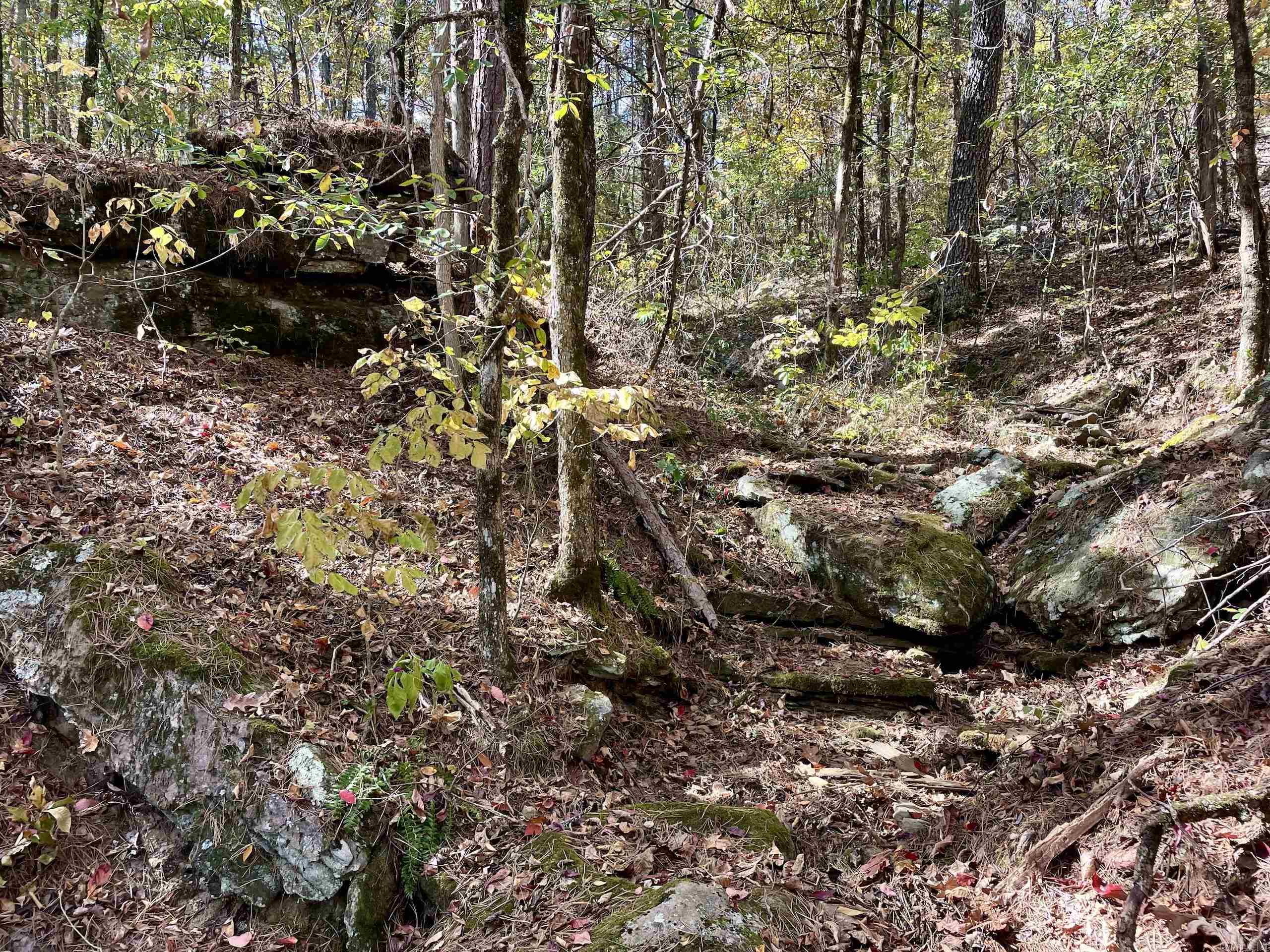 002  Overton Road  Shirley, AR