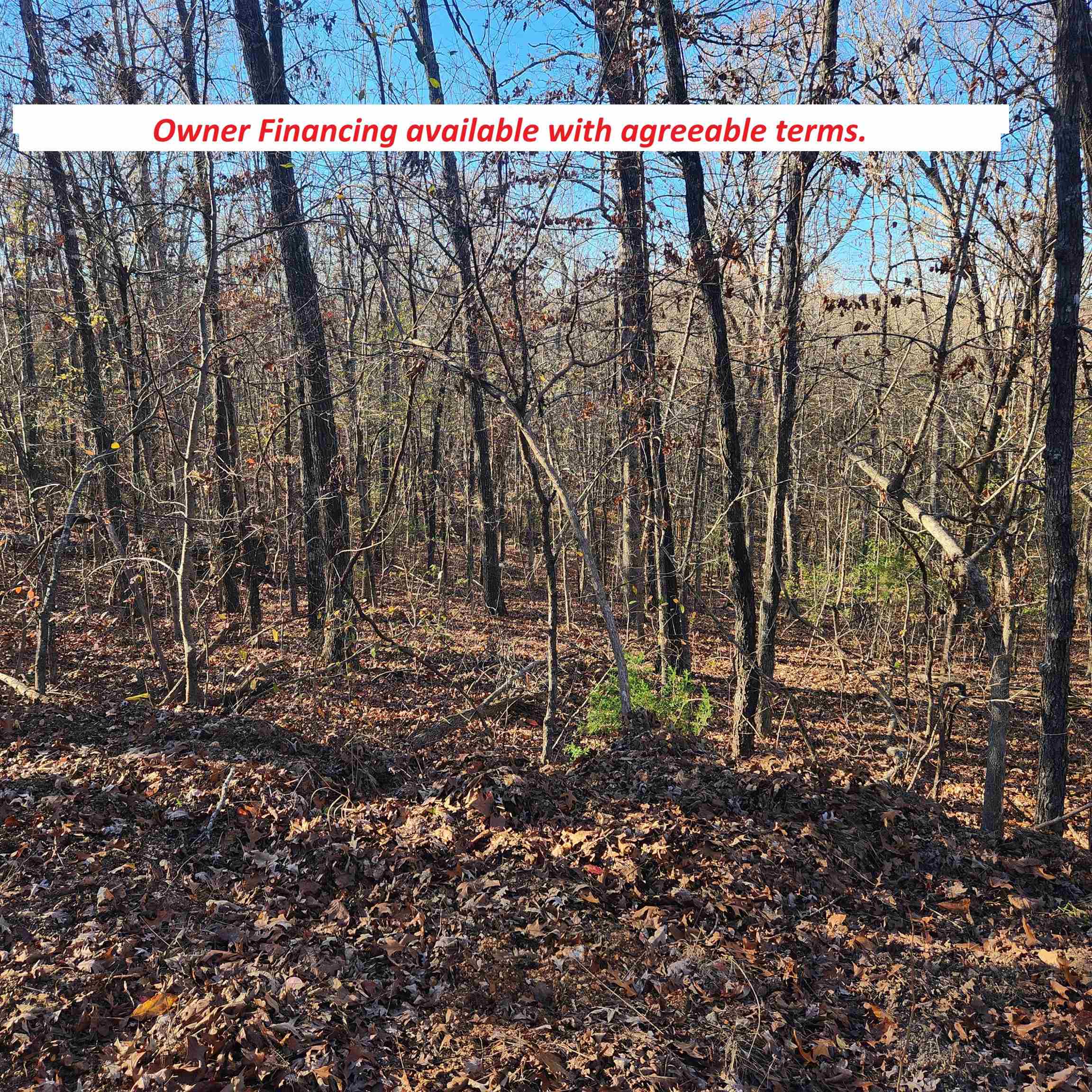L63-64 B-11  Miami  Cherokee Village, AR