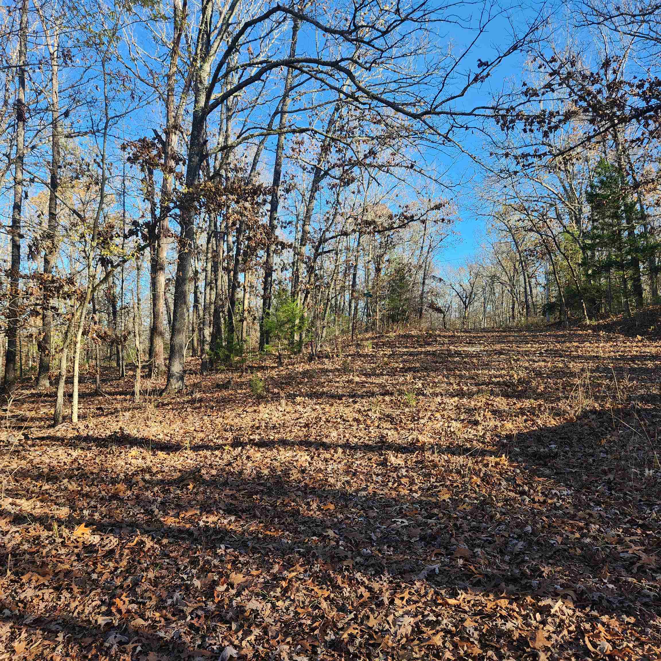 L63-64 B-11  Miami  Cherokee Village, AR