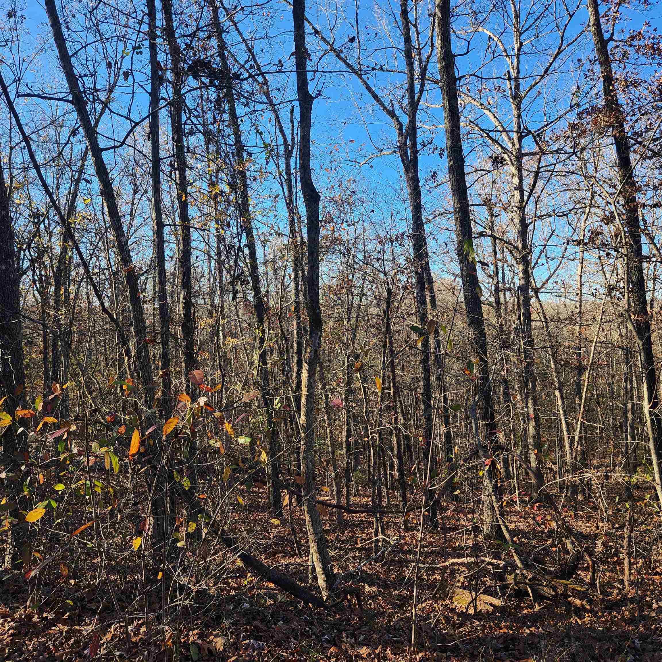 L63-64 B-11  Miami  Cherokee Village, AR
