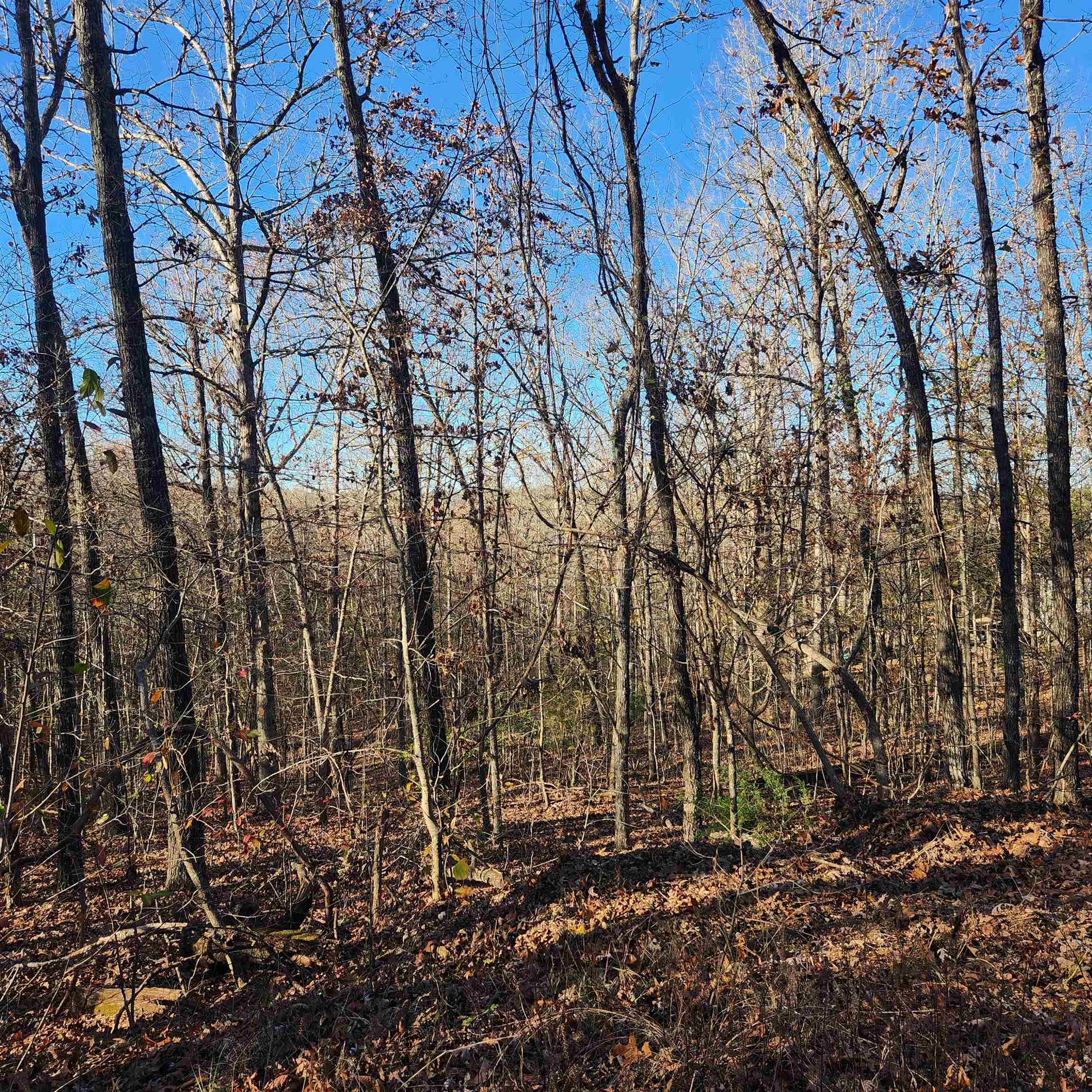 L63-64 B-11  Miami  Cherokee Village, AR