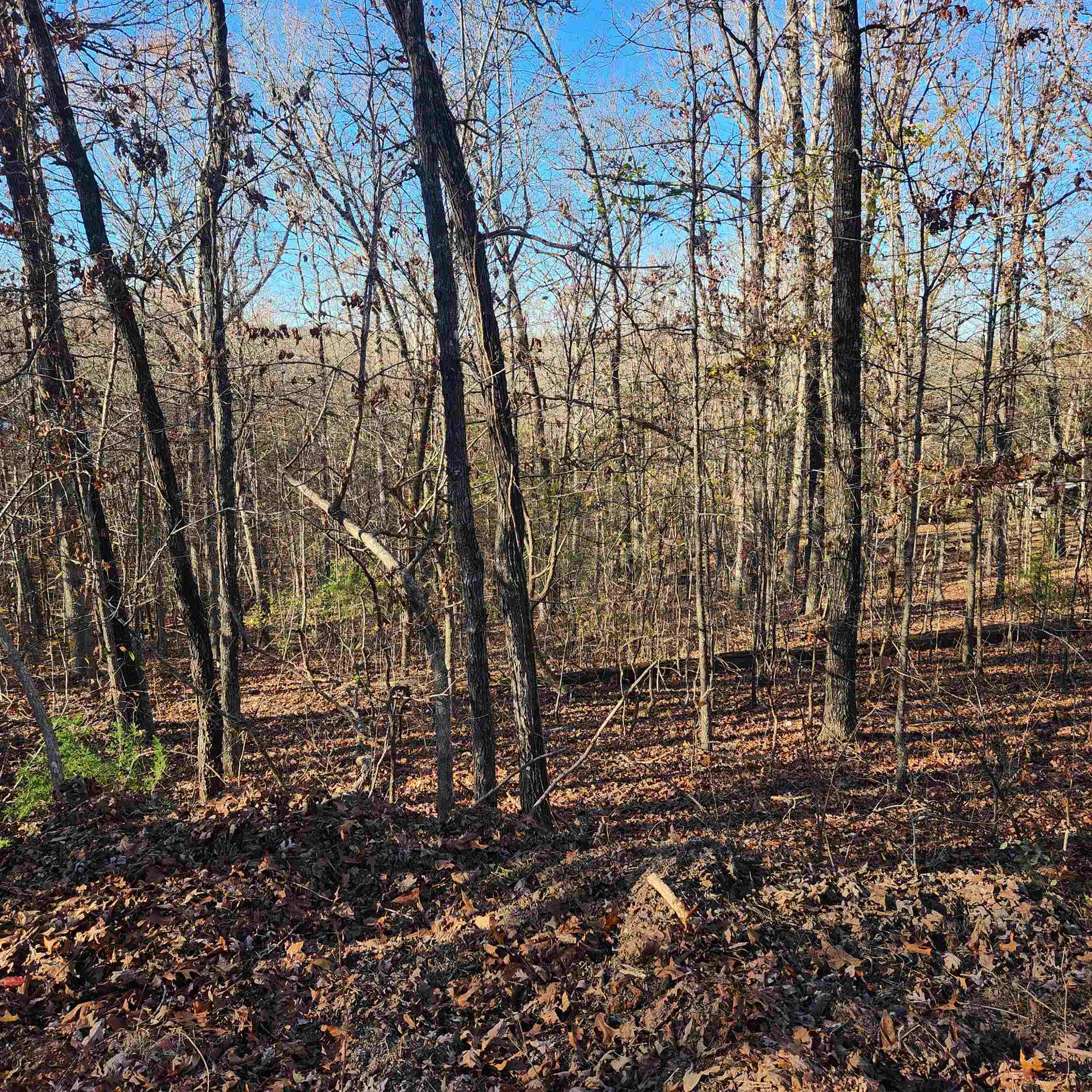 L63-64 B-11  Miami  Cherokee Village, AR
