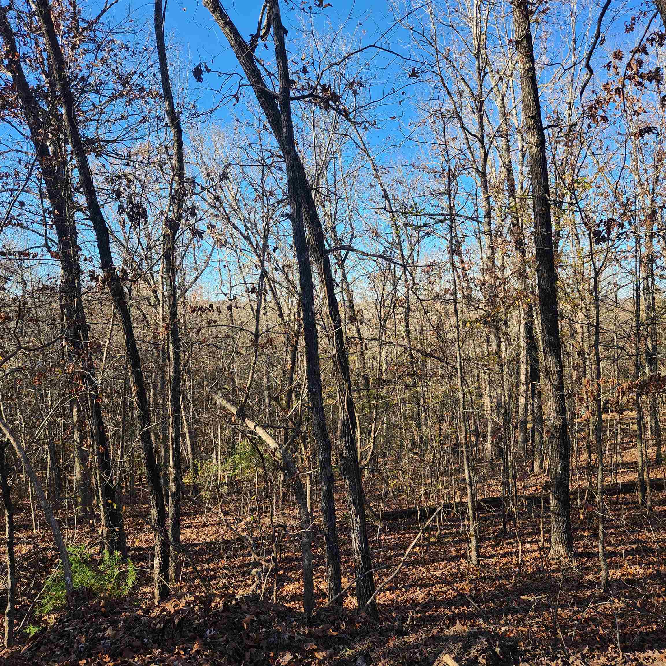 L63-64 B-11  Miami  Cherokee Village, AR