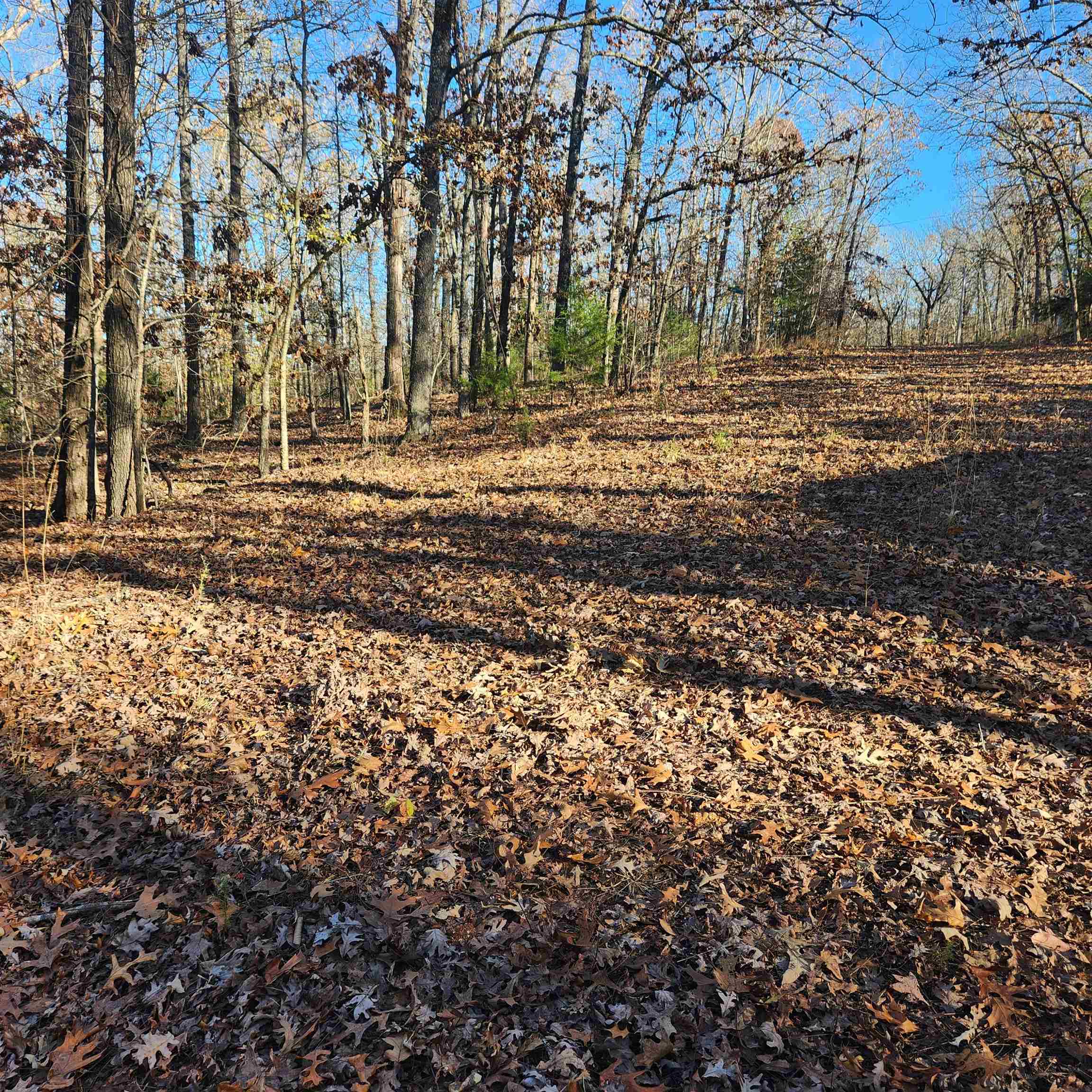 L63-64 B-11  Miami  Cherokee Village, AR