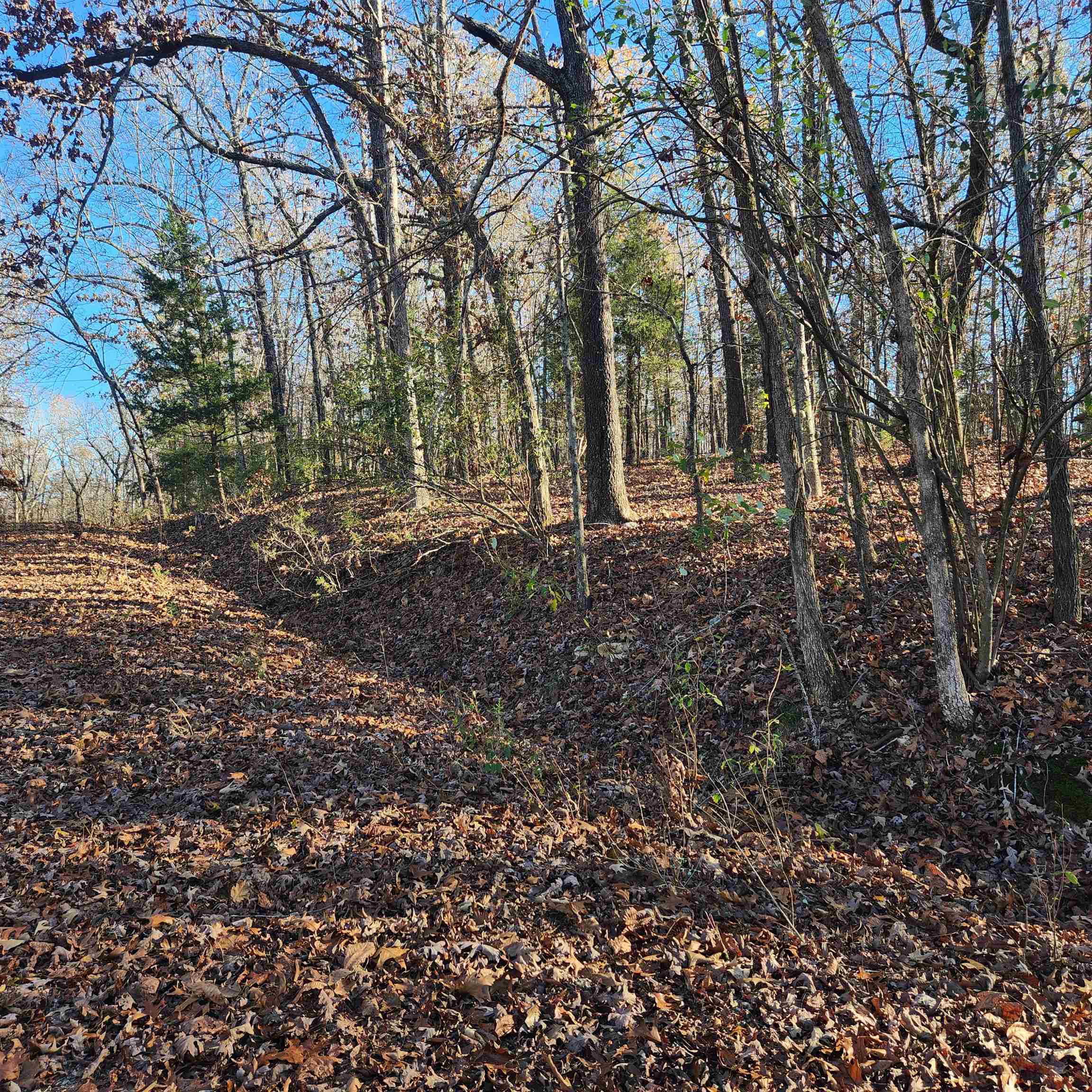 L63-64 B-11  Miami  Cherokee Village, AR