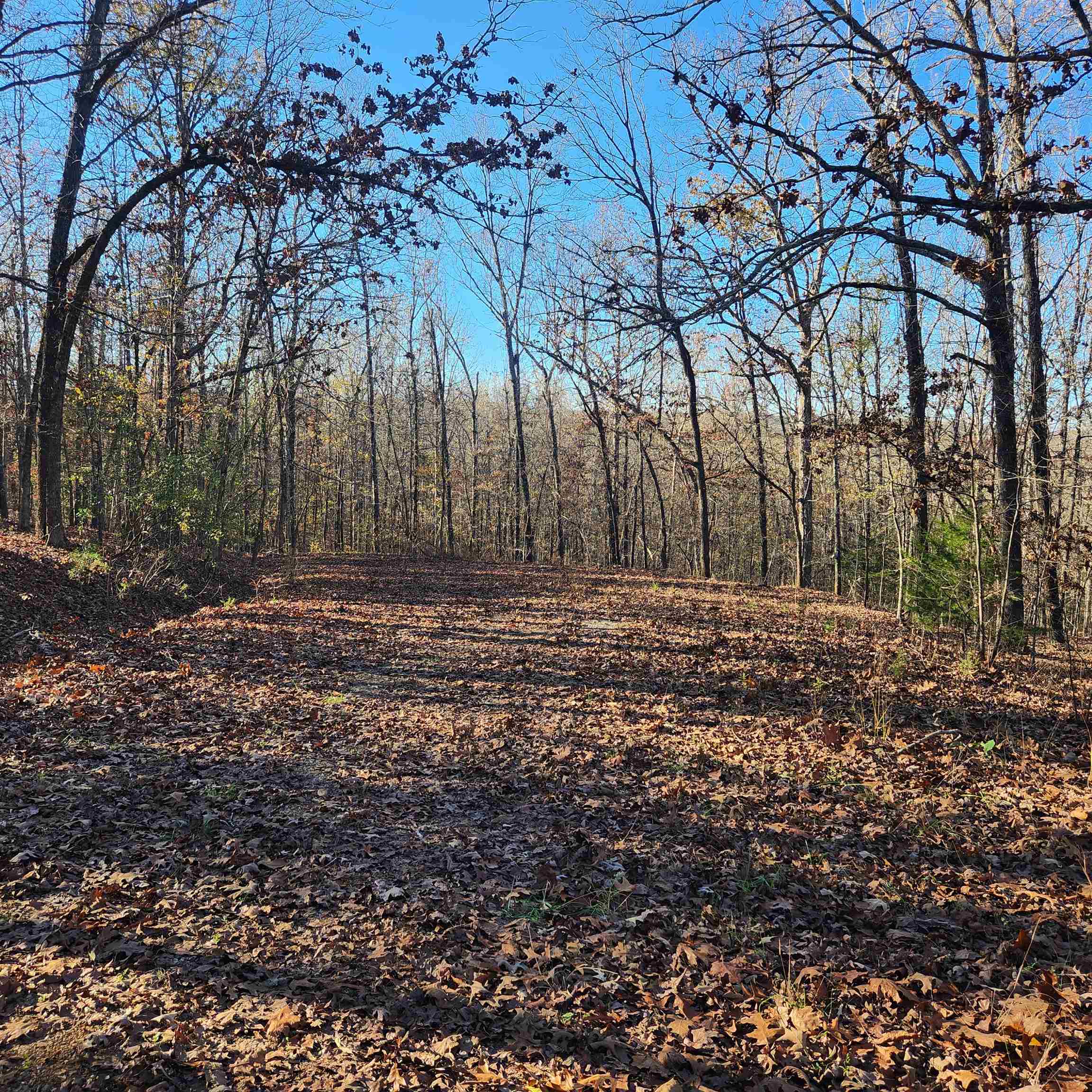 L63-64 B-11  Miami  Cherokee Village, AR