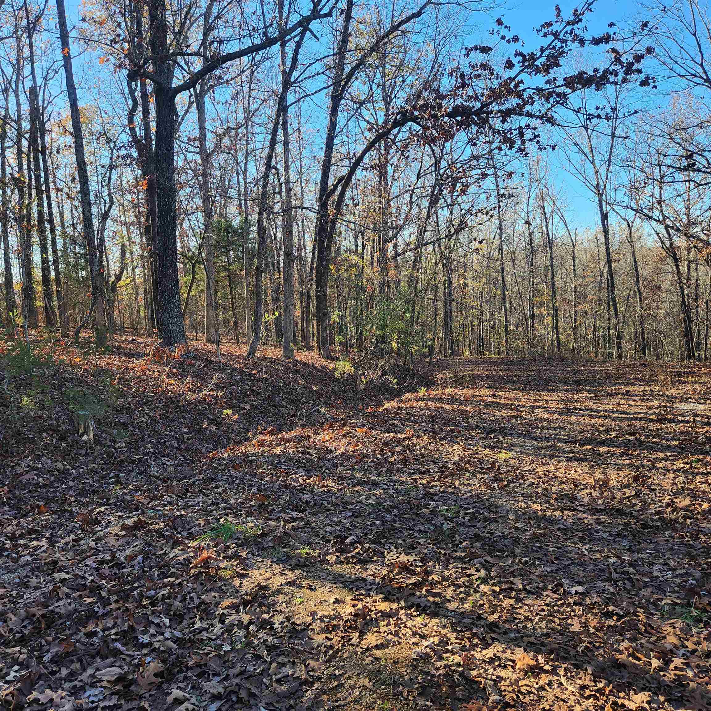 L63-64 B-11  Miami  Cherokee Village, AR