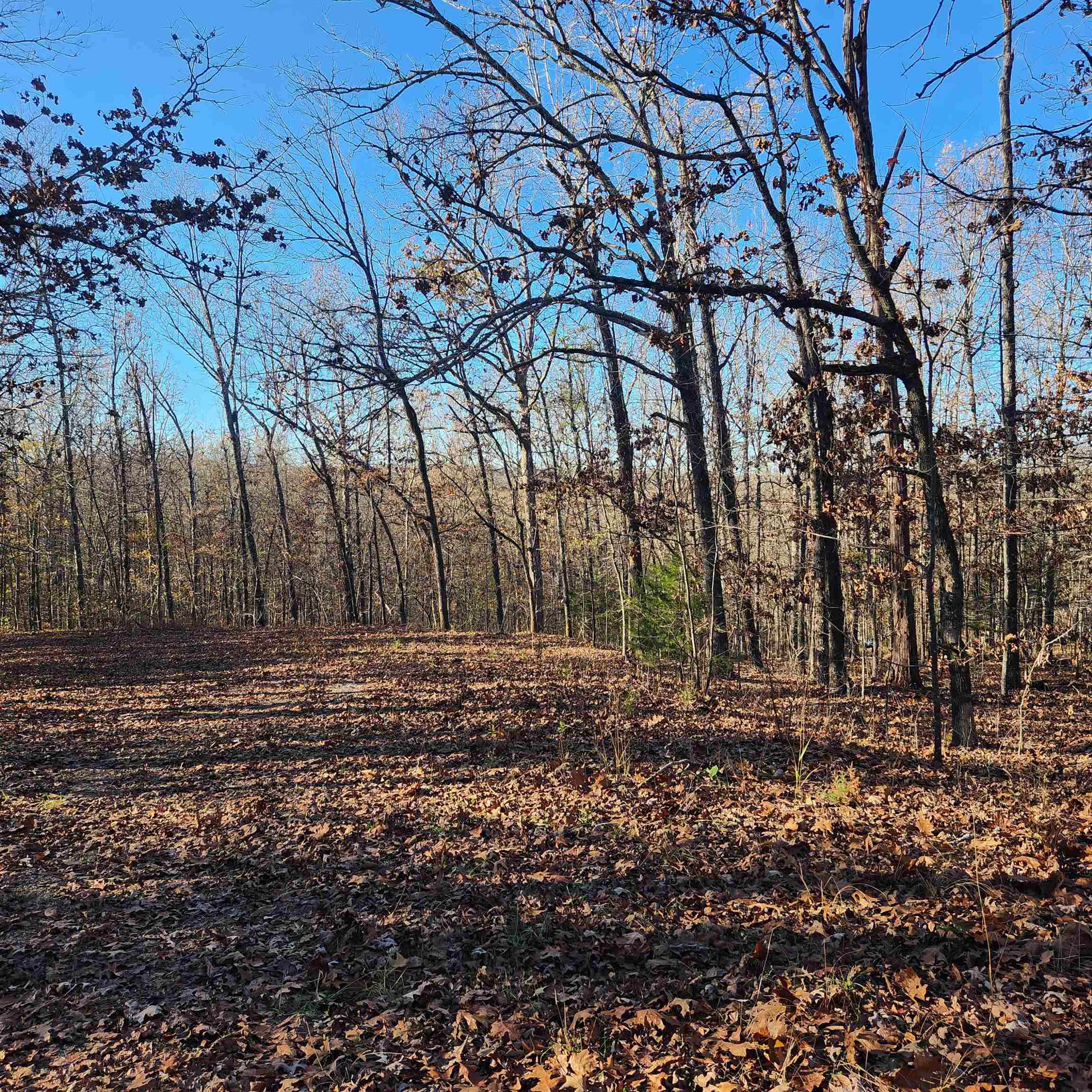L63-64 B-11  Miami  Cherokee Village, AR