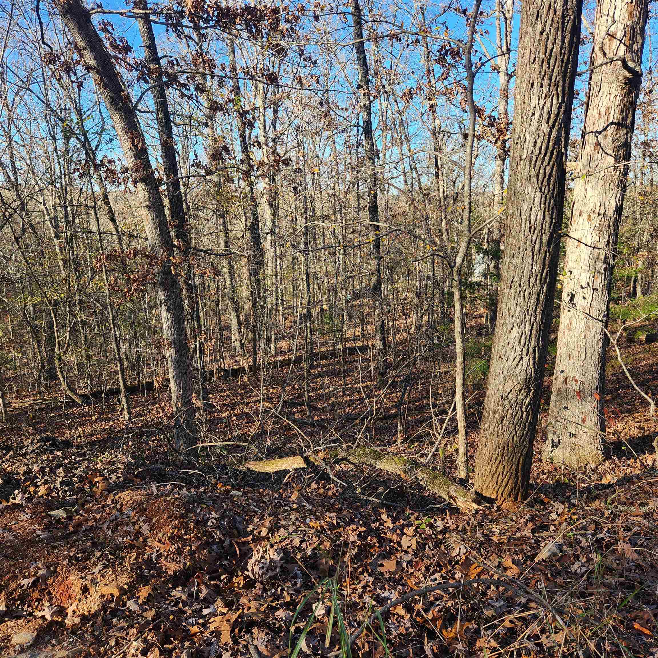 L63-64 B-11  Miami  Cherokee Village, AR