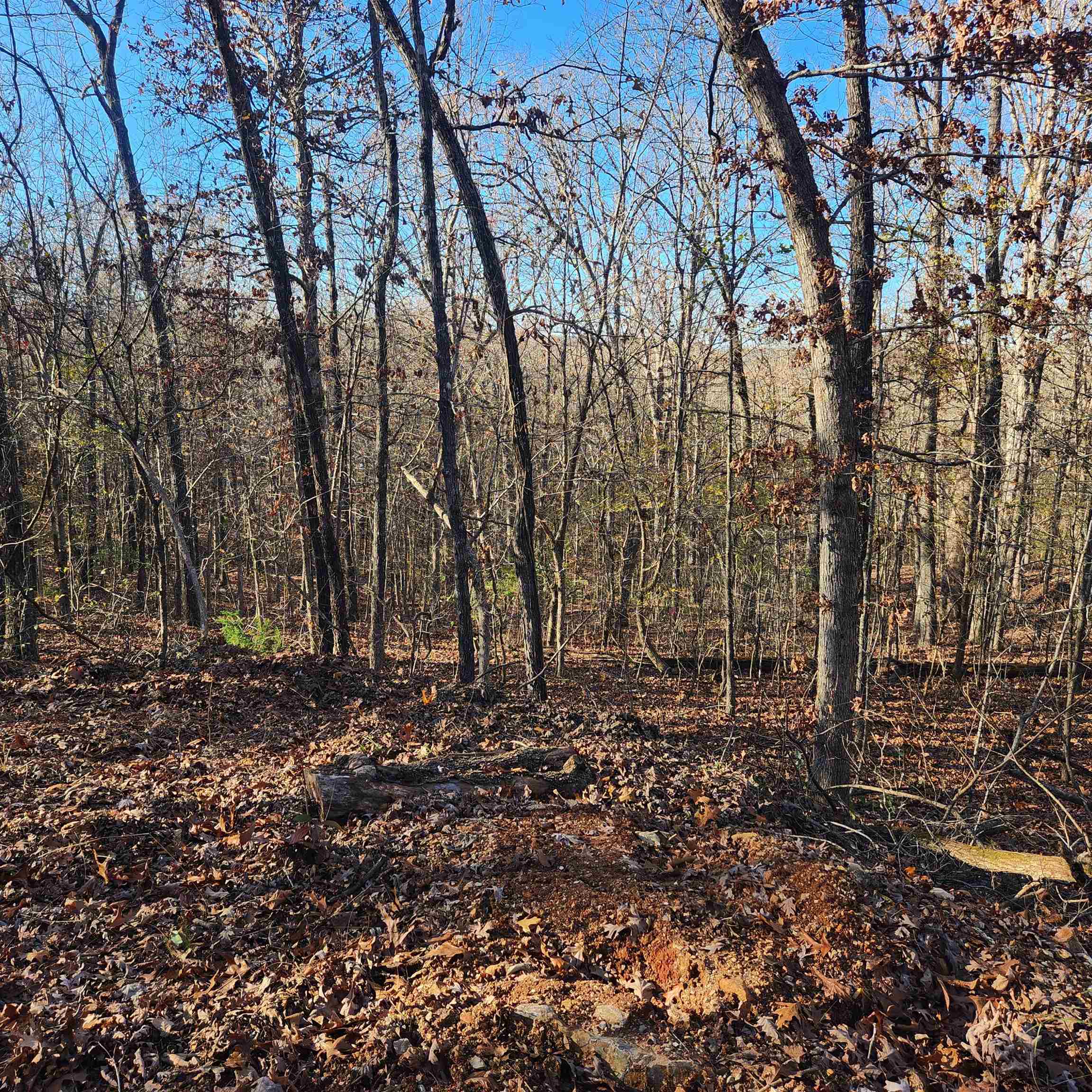 L63-64 B-11  Miami  Cherokee Village, AR