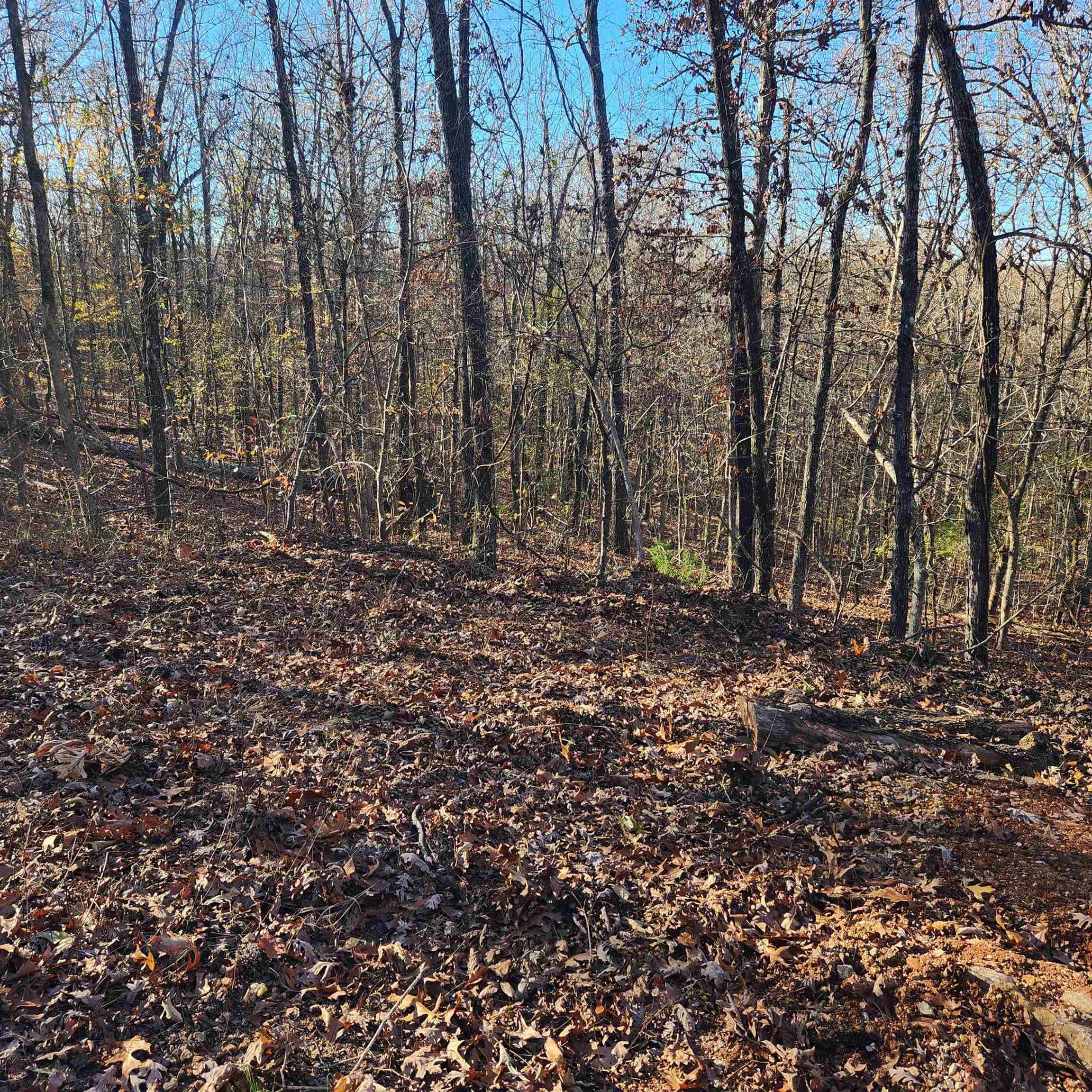 L63-64 B-11  Miami  Cherokee Village, AR