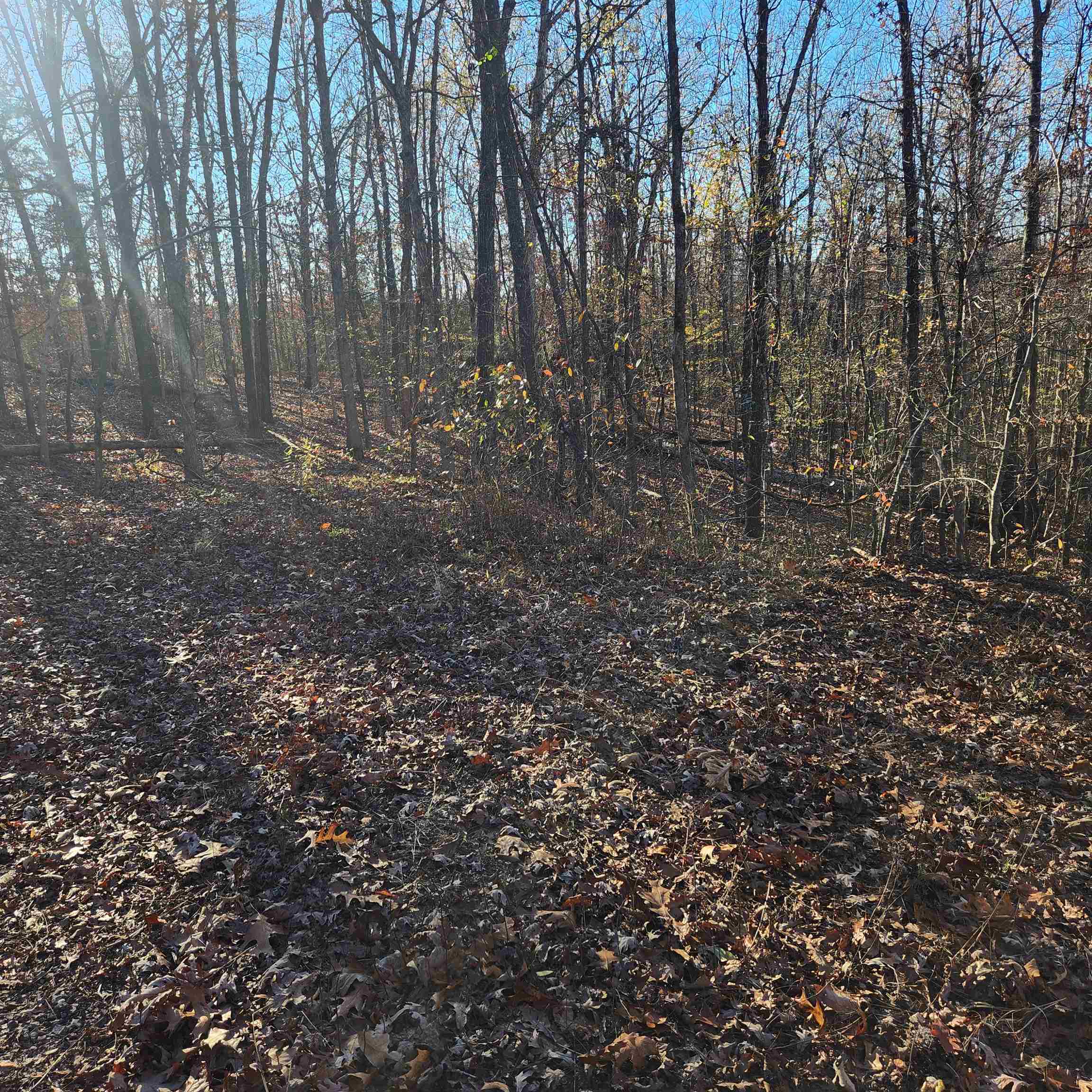 L63-64 B-11  Miami  Cherokee Village, AR