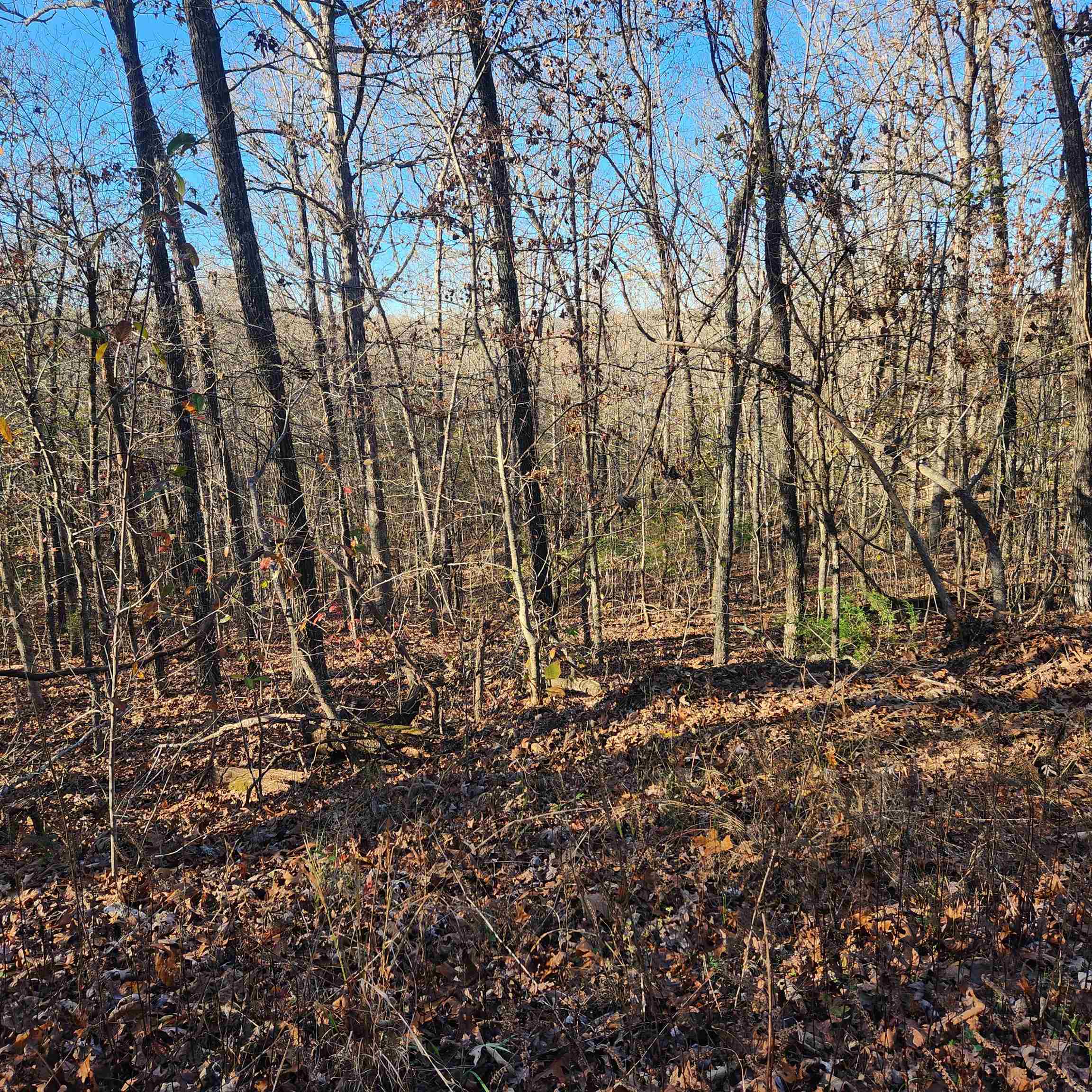 L63-64 B-11  Miami  Cherokee Village, AR