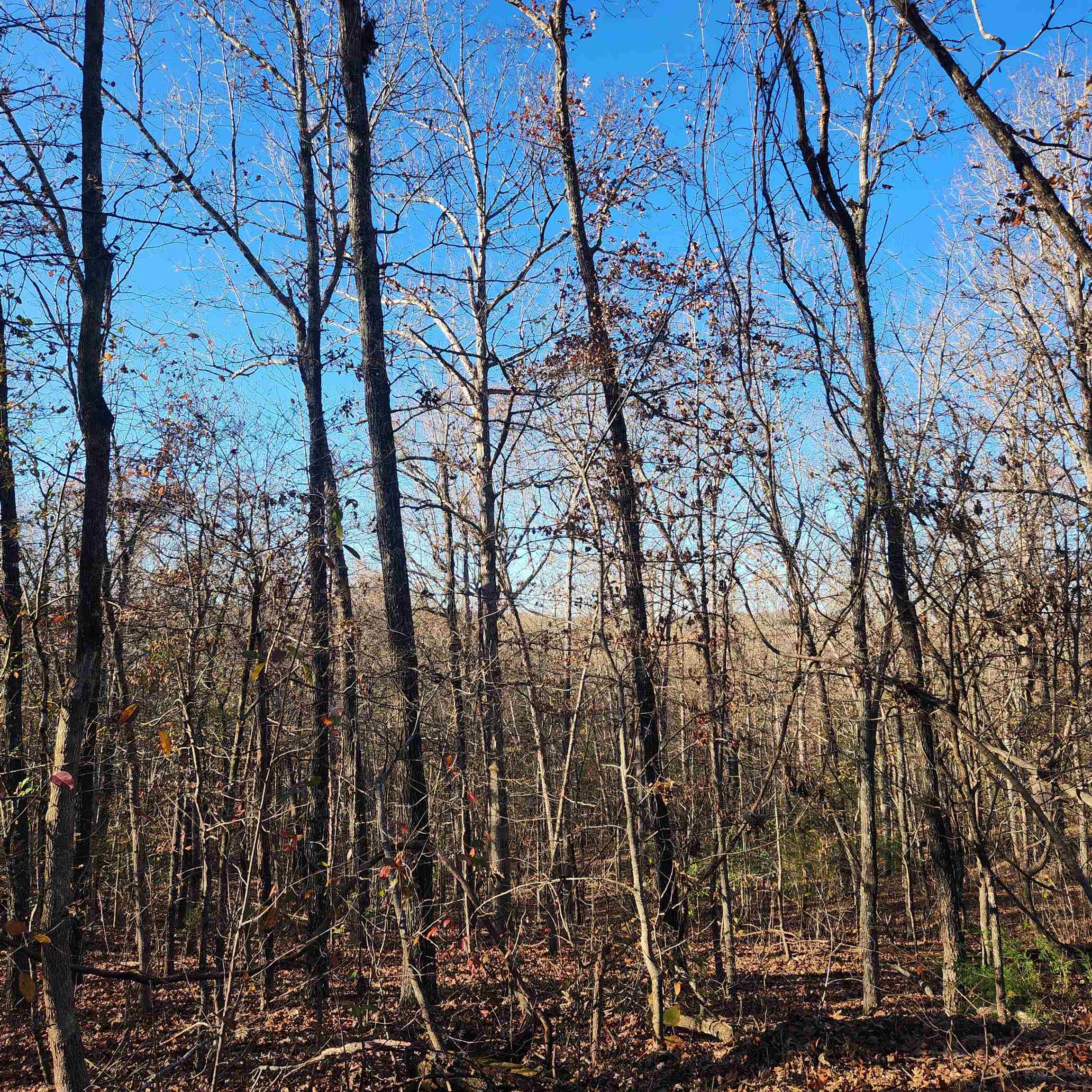 L63-64 B-11  Miami  Cherokee Village, AR