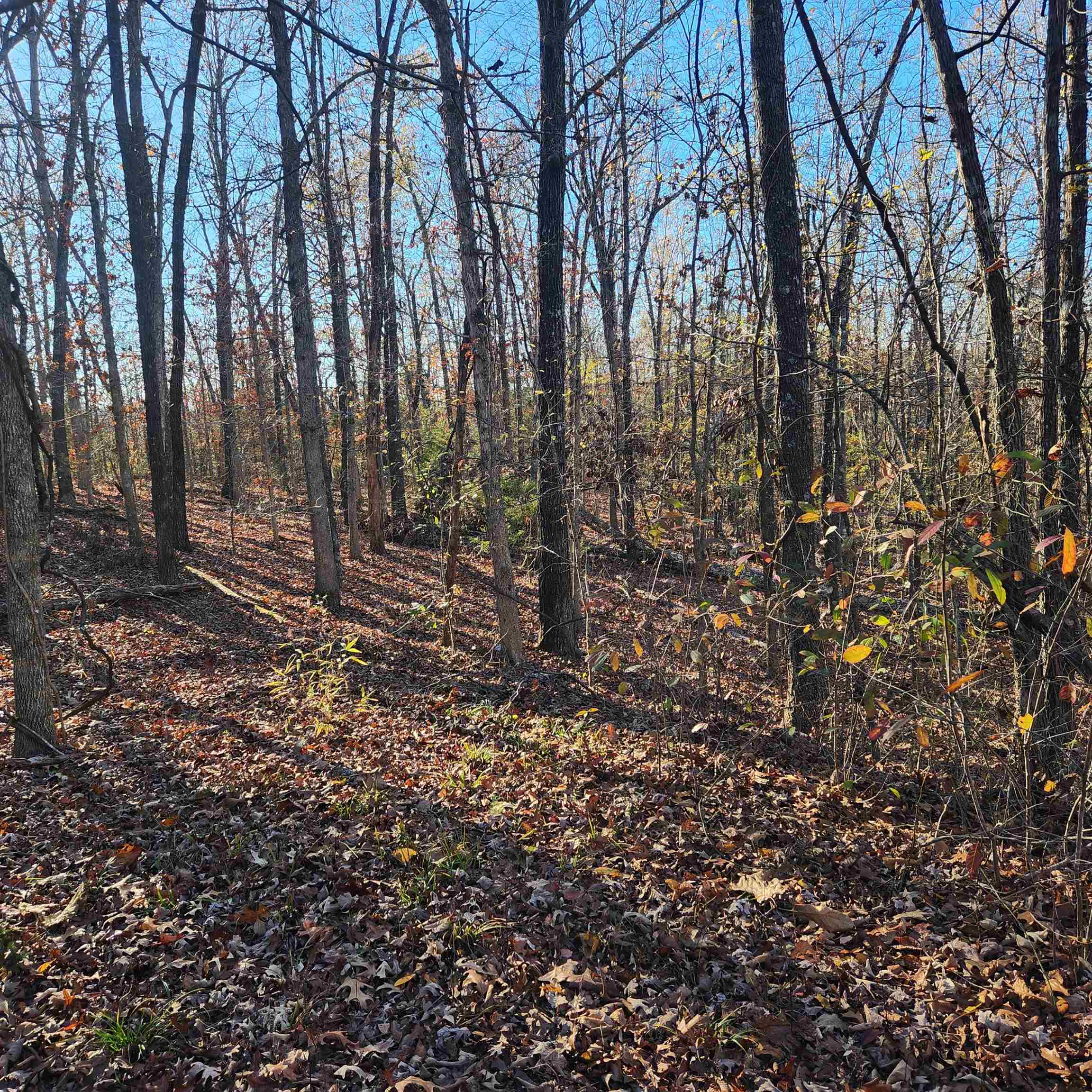 L63-64 B-11  Miami  Cherokee Village, AR