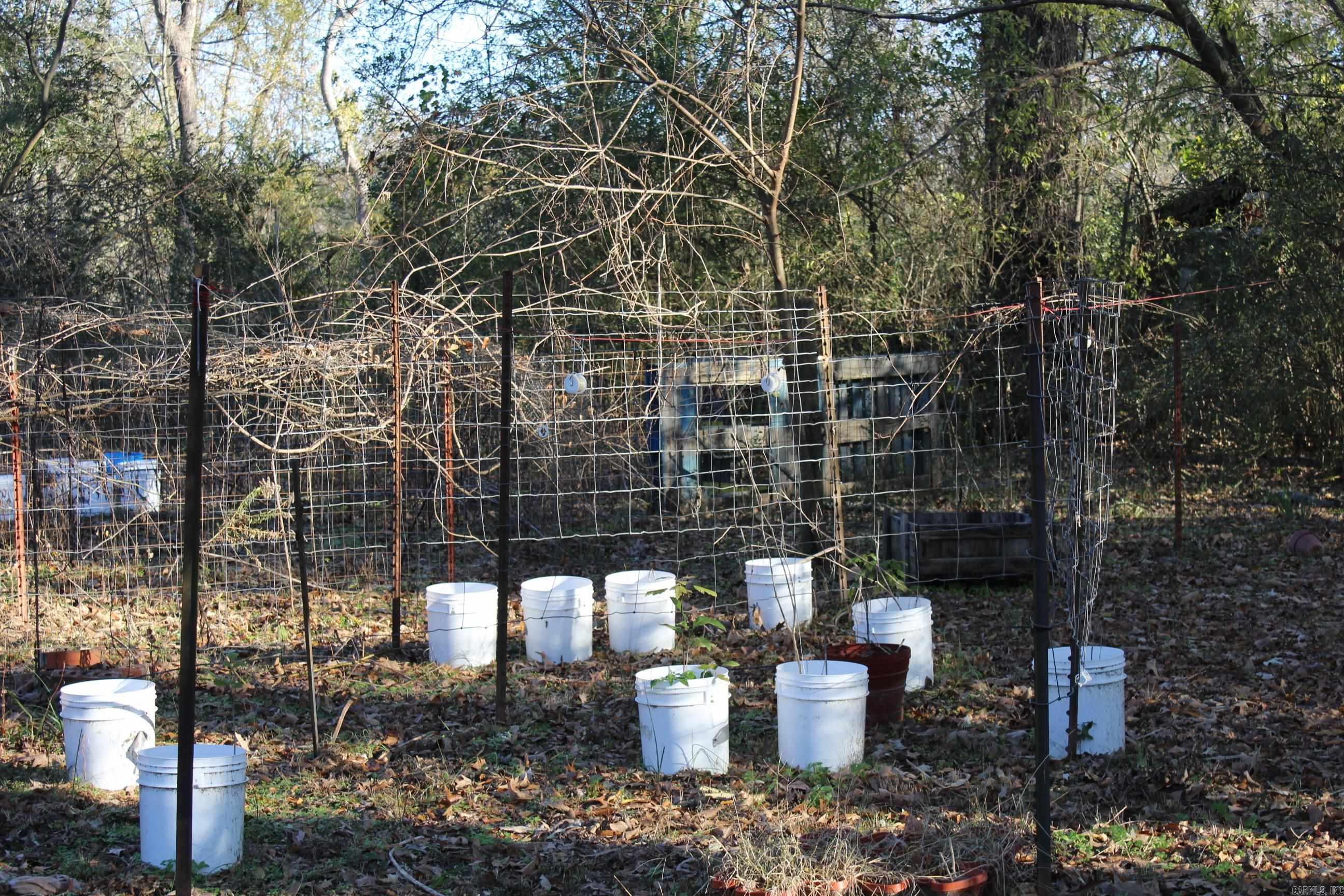154 W Johnson  Hatfield, AR