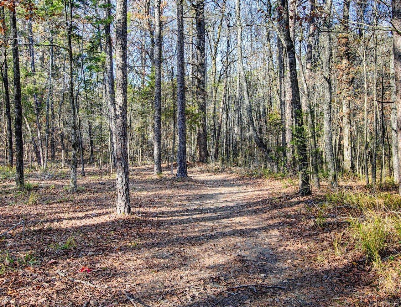 412  Danville  Hot Springs, AR