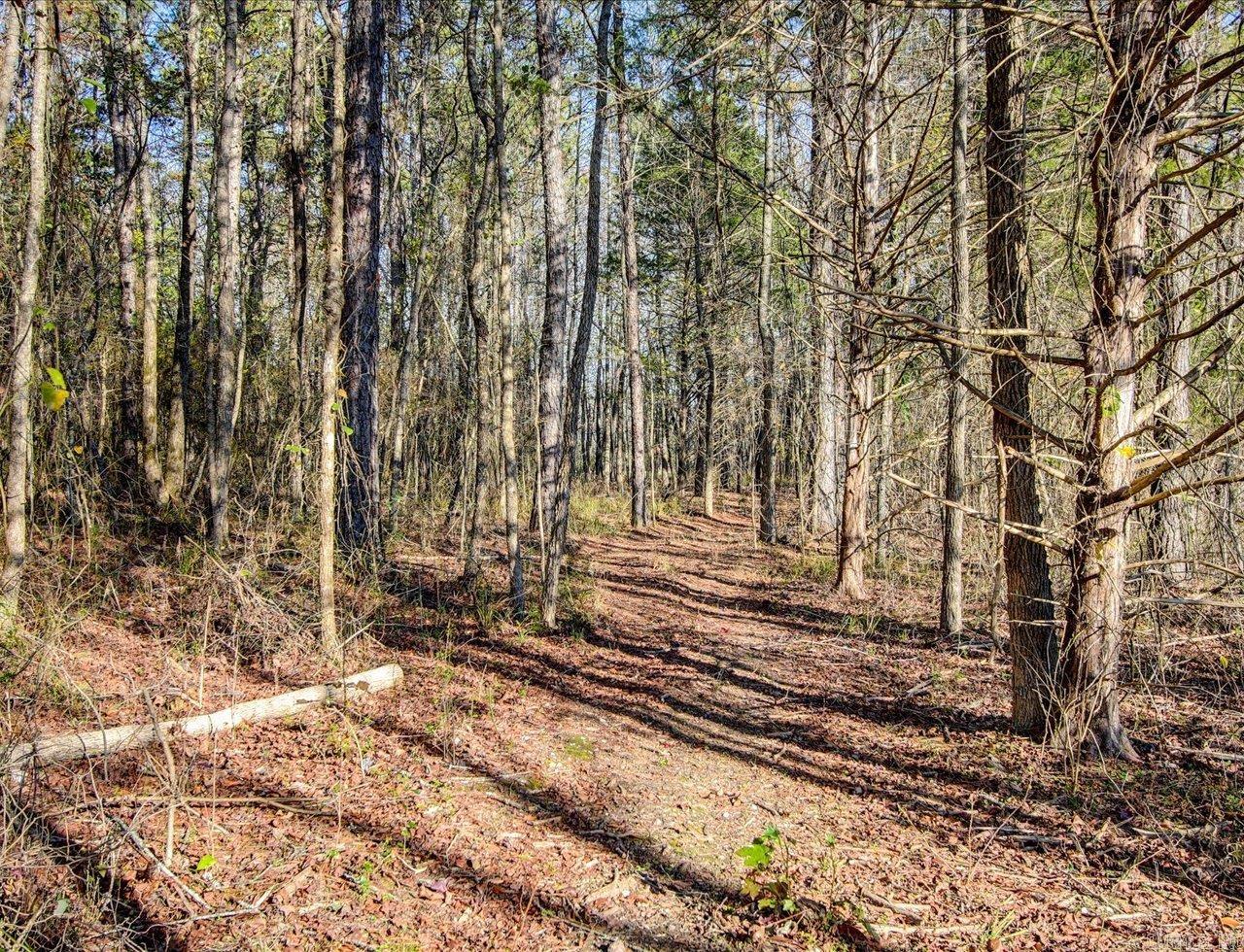 412  Danville  Hot Springs, AR
