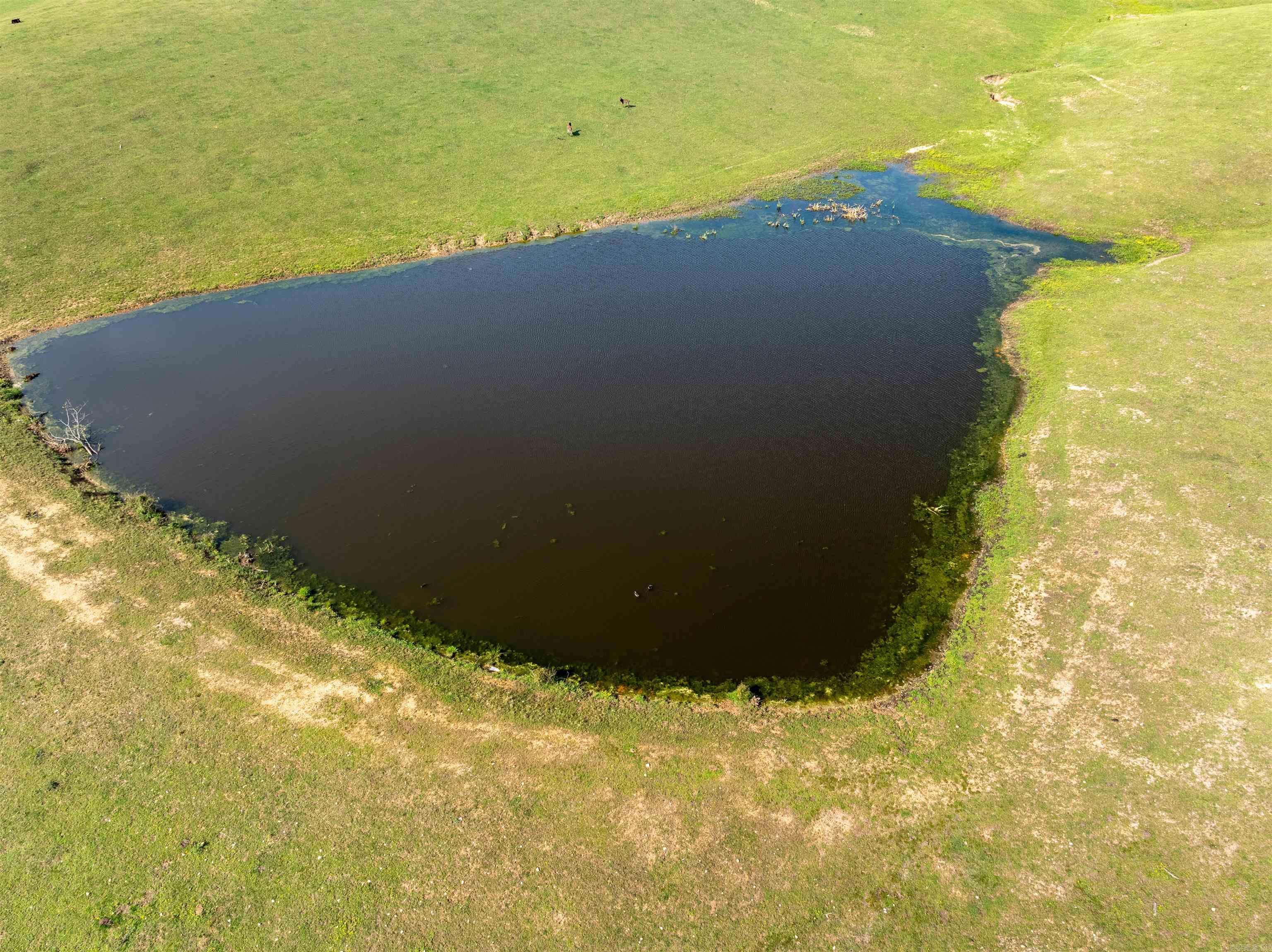 330 W AR HWY 58  Melbourne, AR