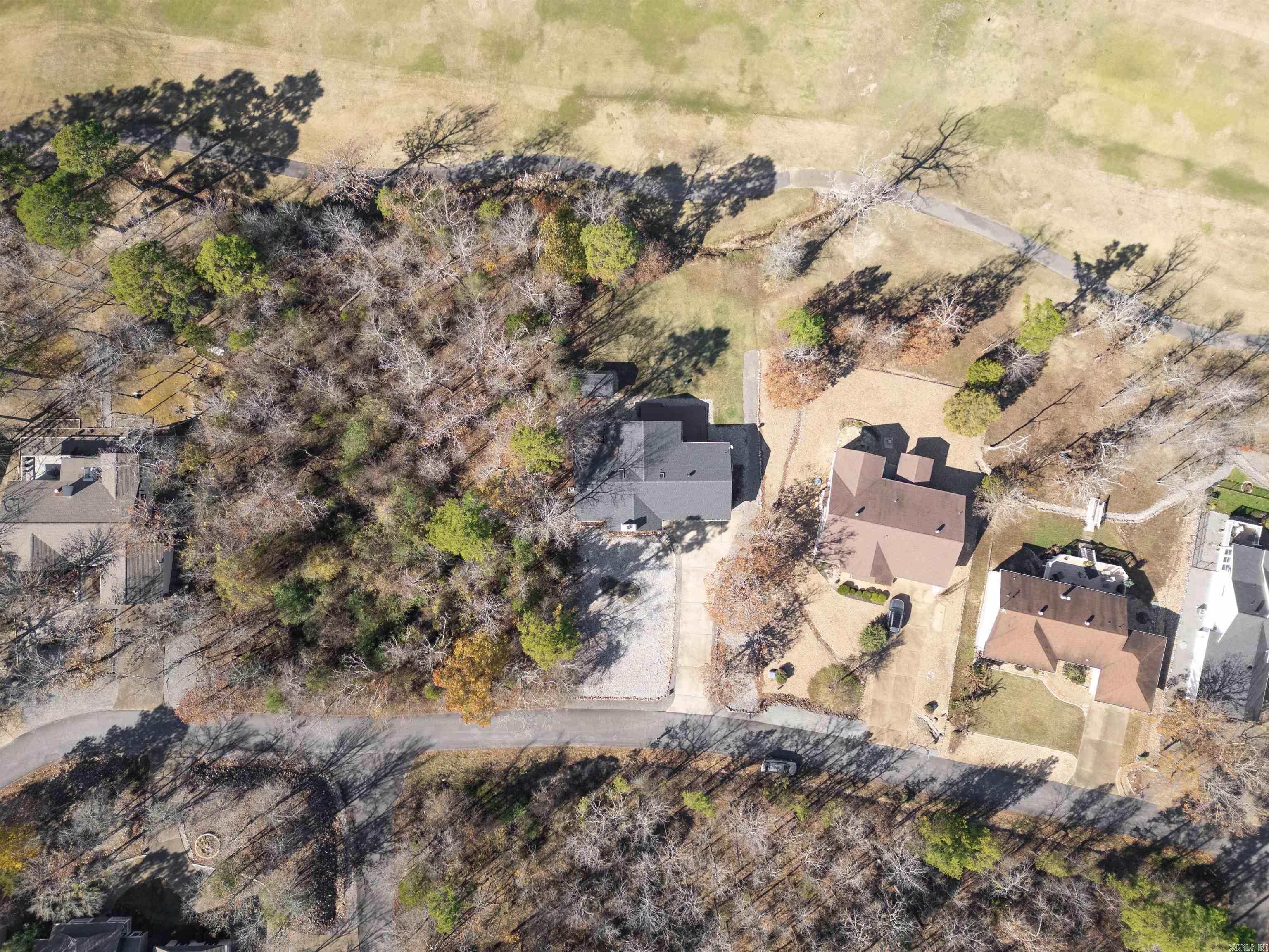 18  Faisan  Hot Springs Village, AR