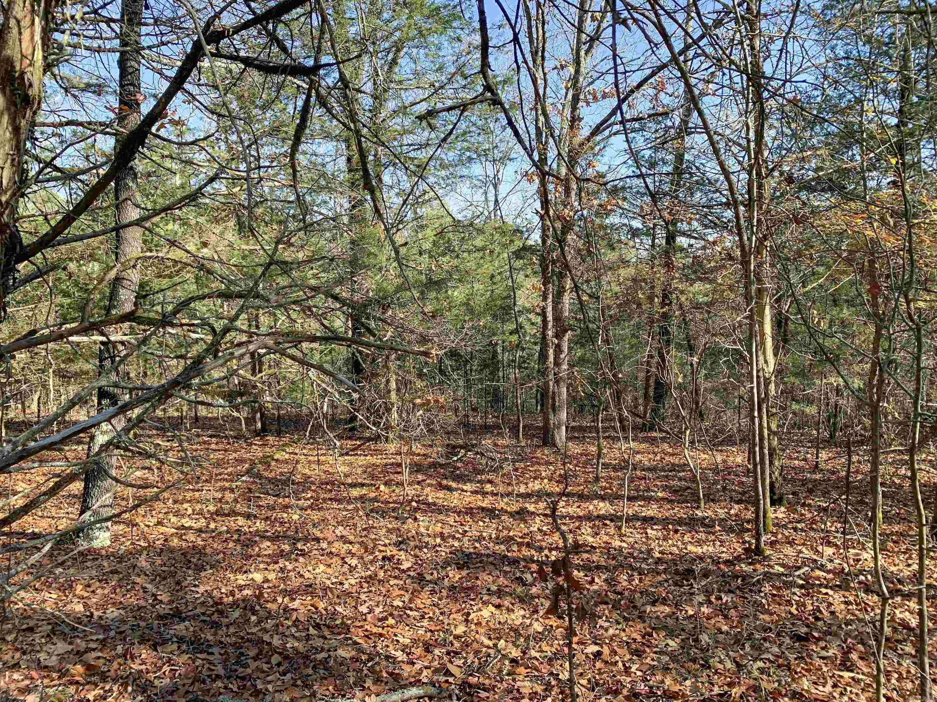 154  Odom Pt  Bee Branch, AR