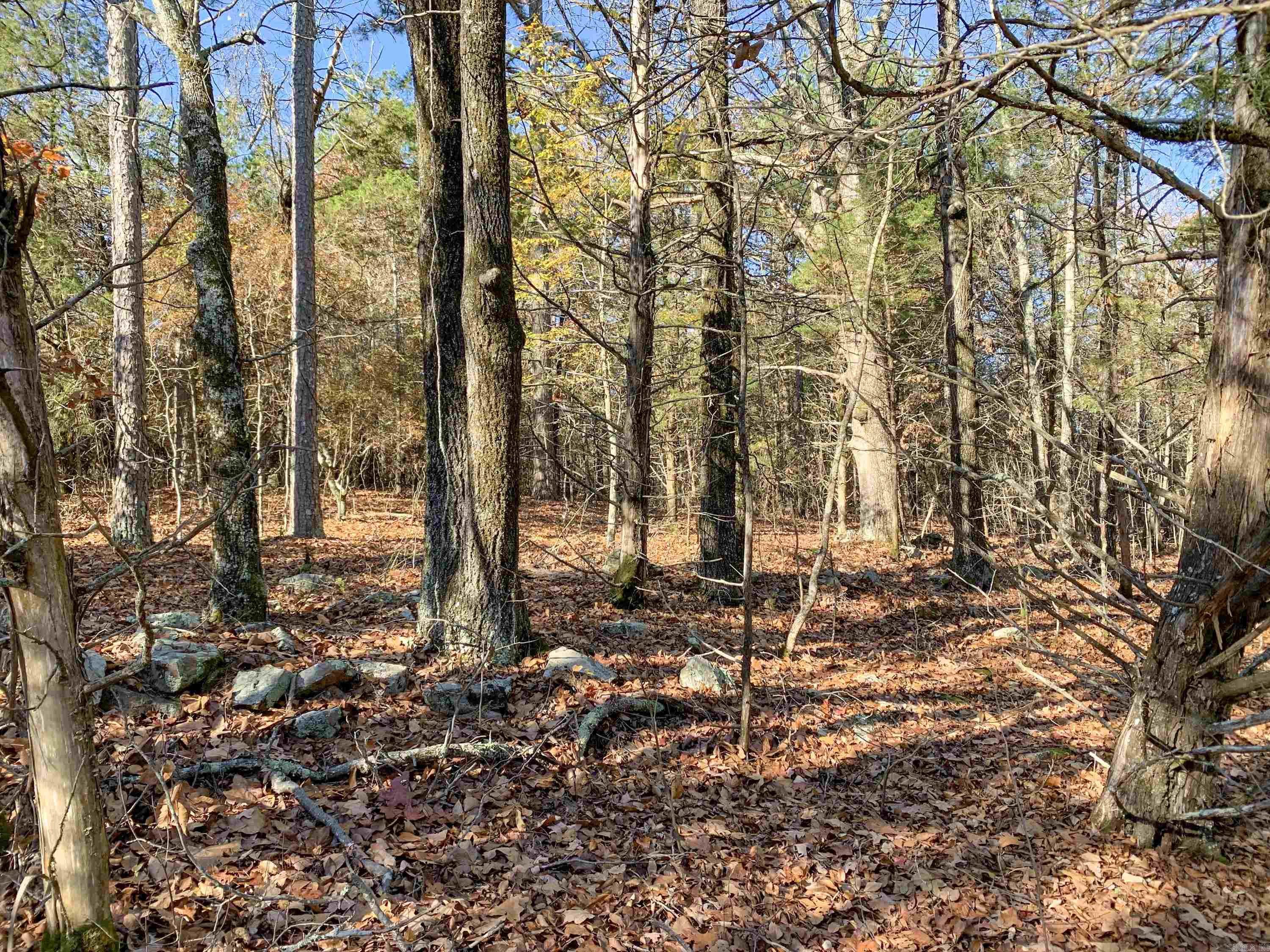 154  Odom Pt  Bee Branch, AR