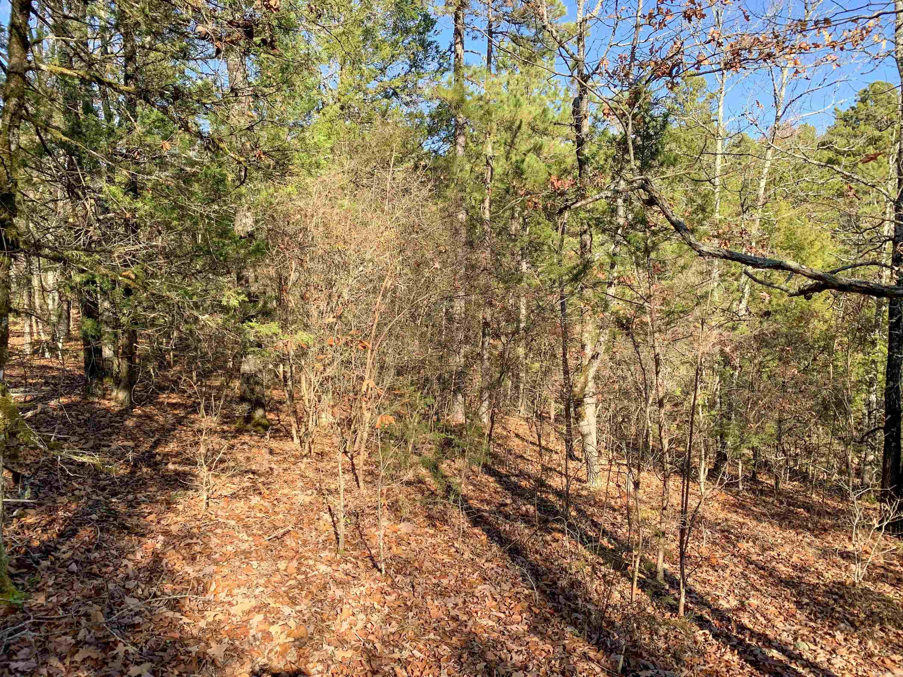 154  Odom Pt  Bee Branch, AR