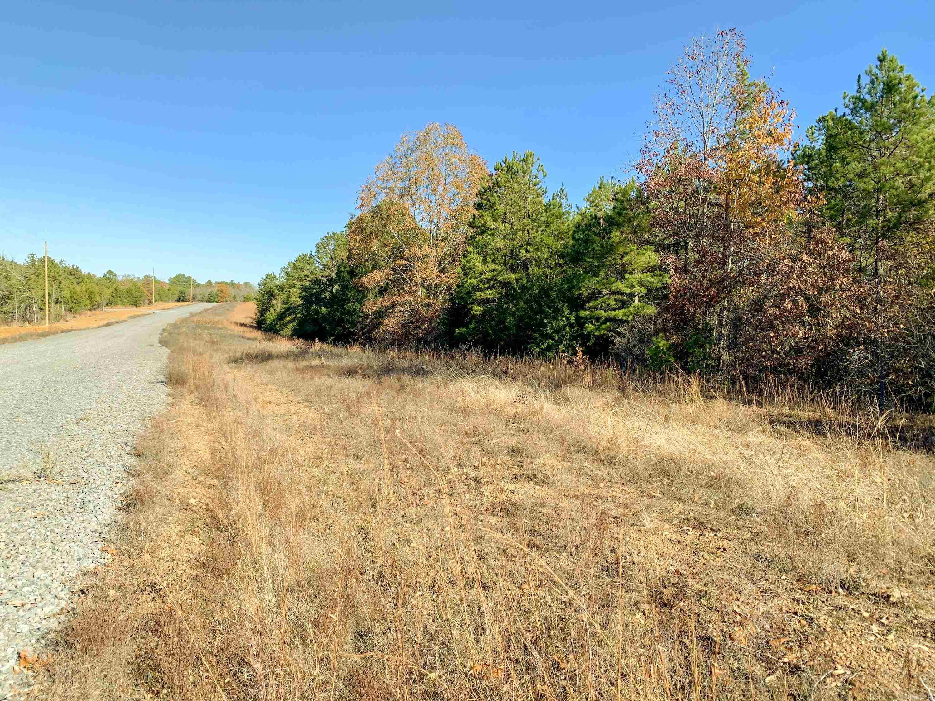 154  Odom Pt  Bee Branch, AR