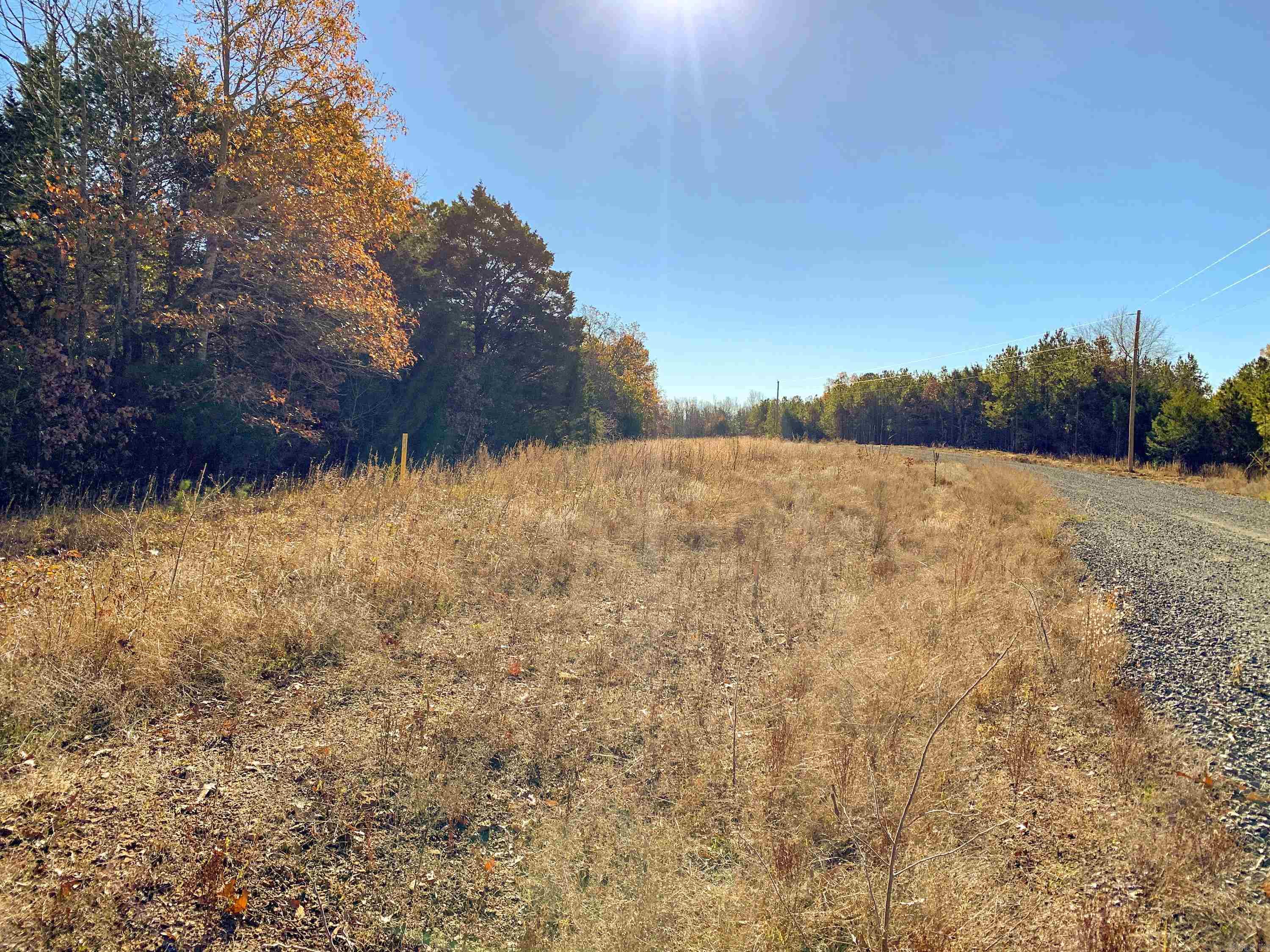 154  Odom Pt  Bee Branch, AR