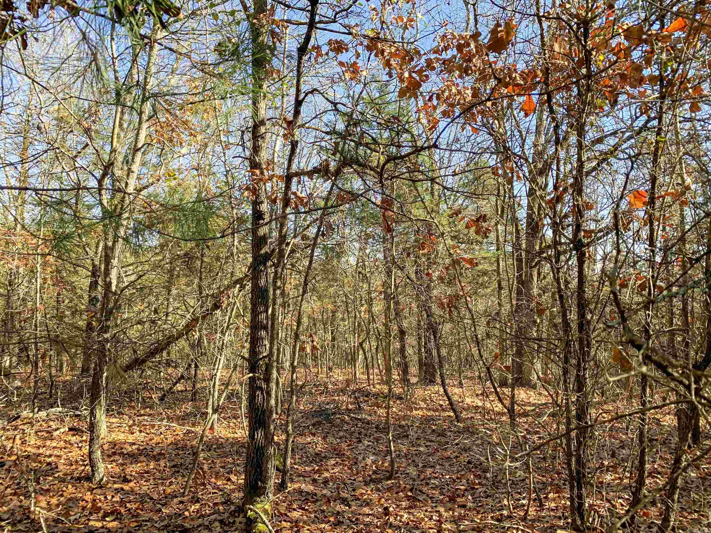 154  Odom Pt  Bee Branch, AR