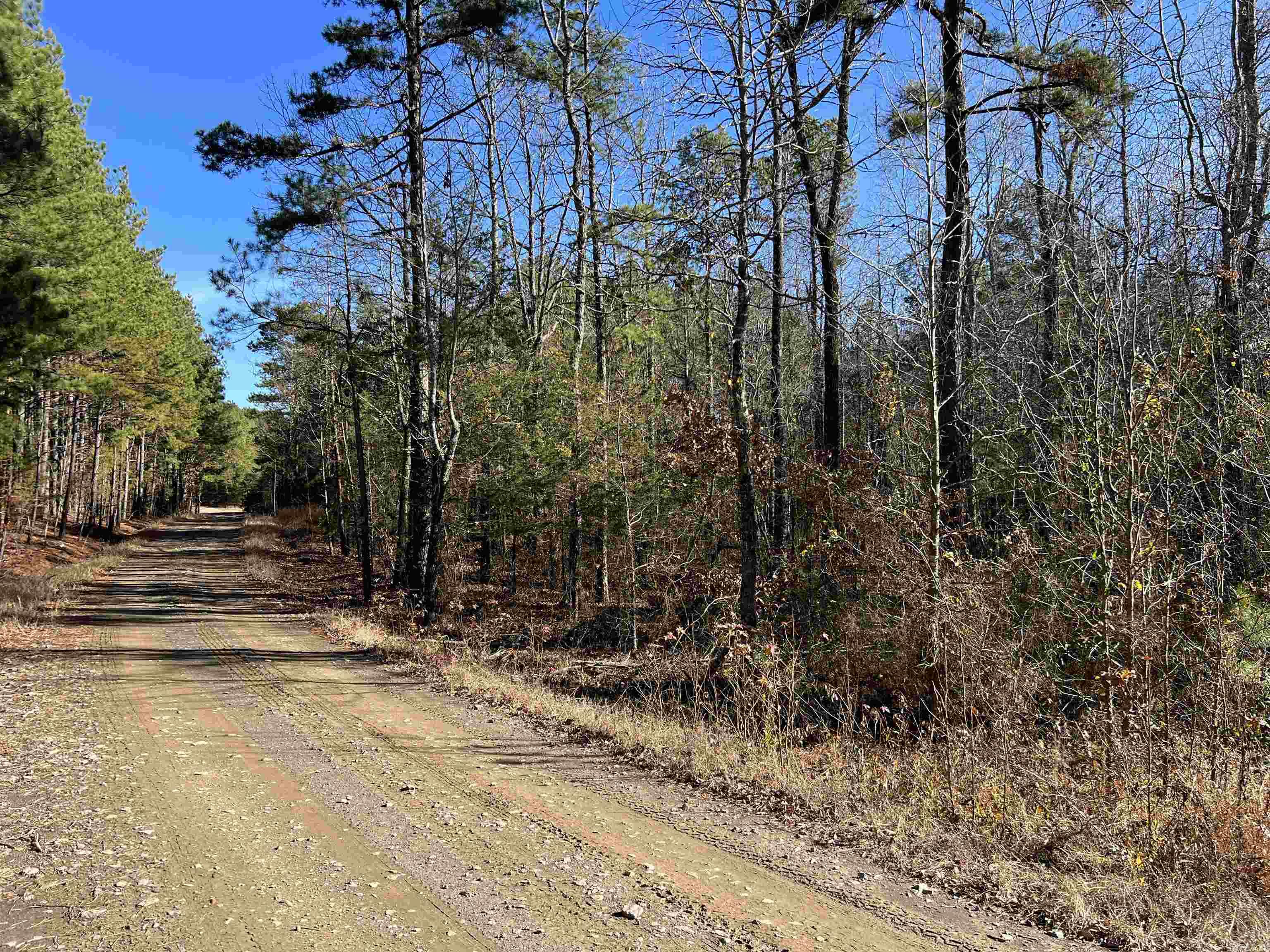 00  Bear Mountain Road  Greers Ferry, AR