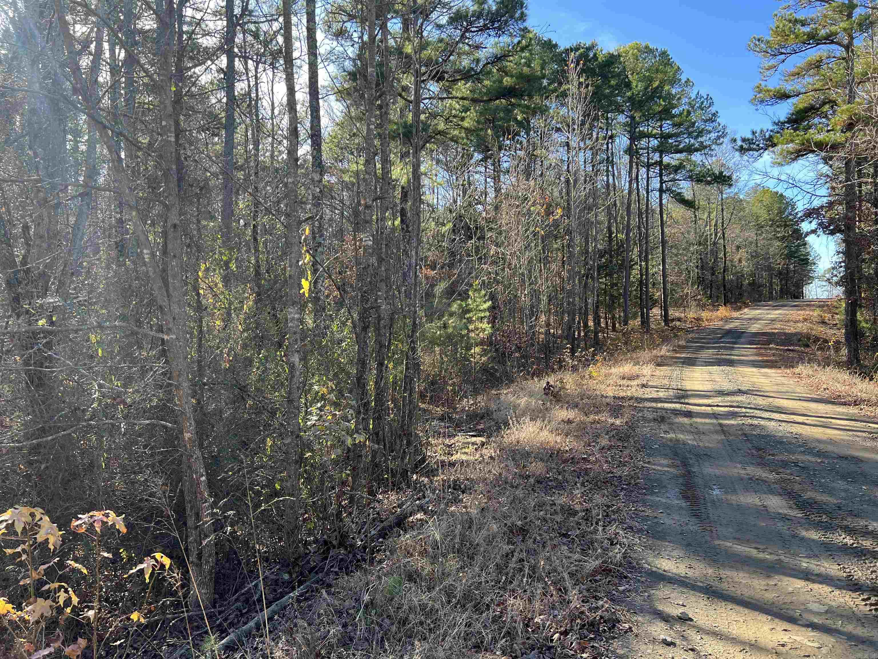 00  Bear Mountain Road  Greers Ferry, AR