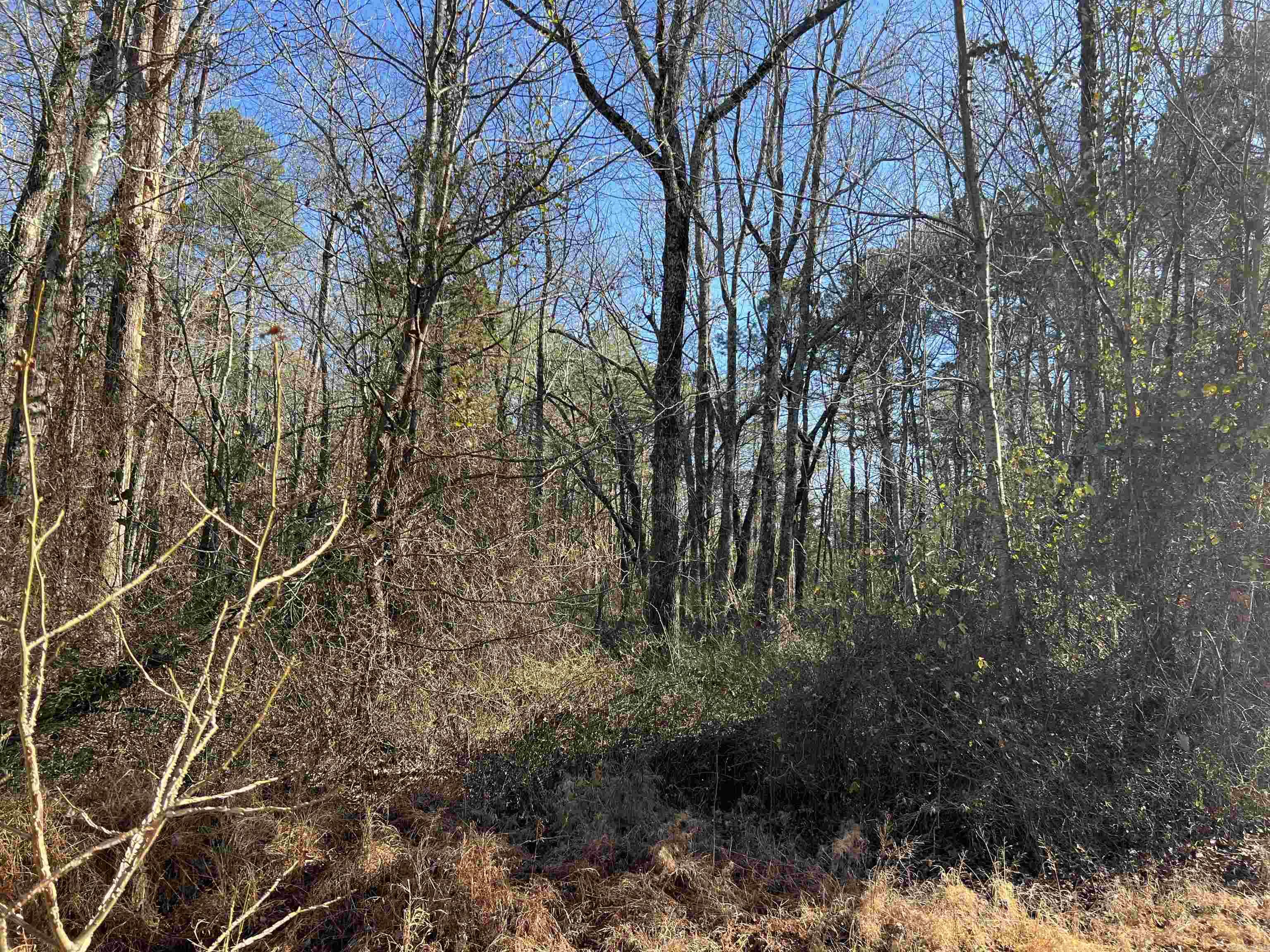 00  Bear Mountain Road  Greers Ferry, AR