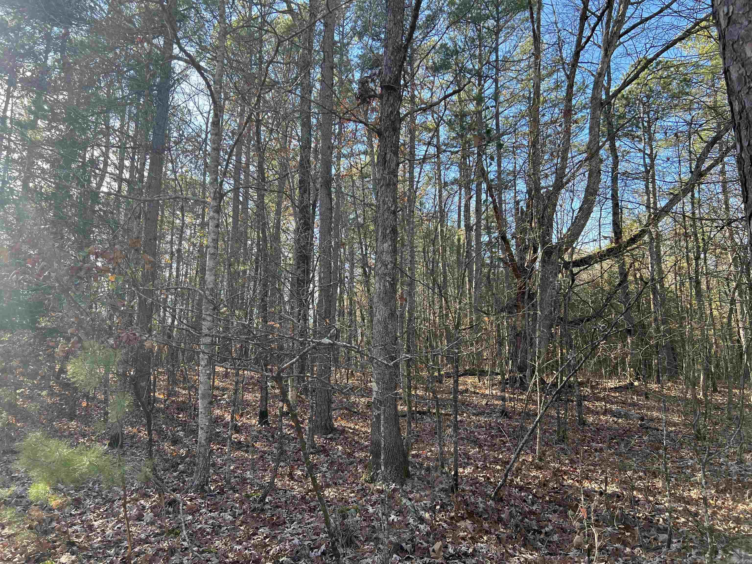 00  Bear Mountain Road  Greers Ferry, AR