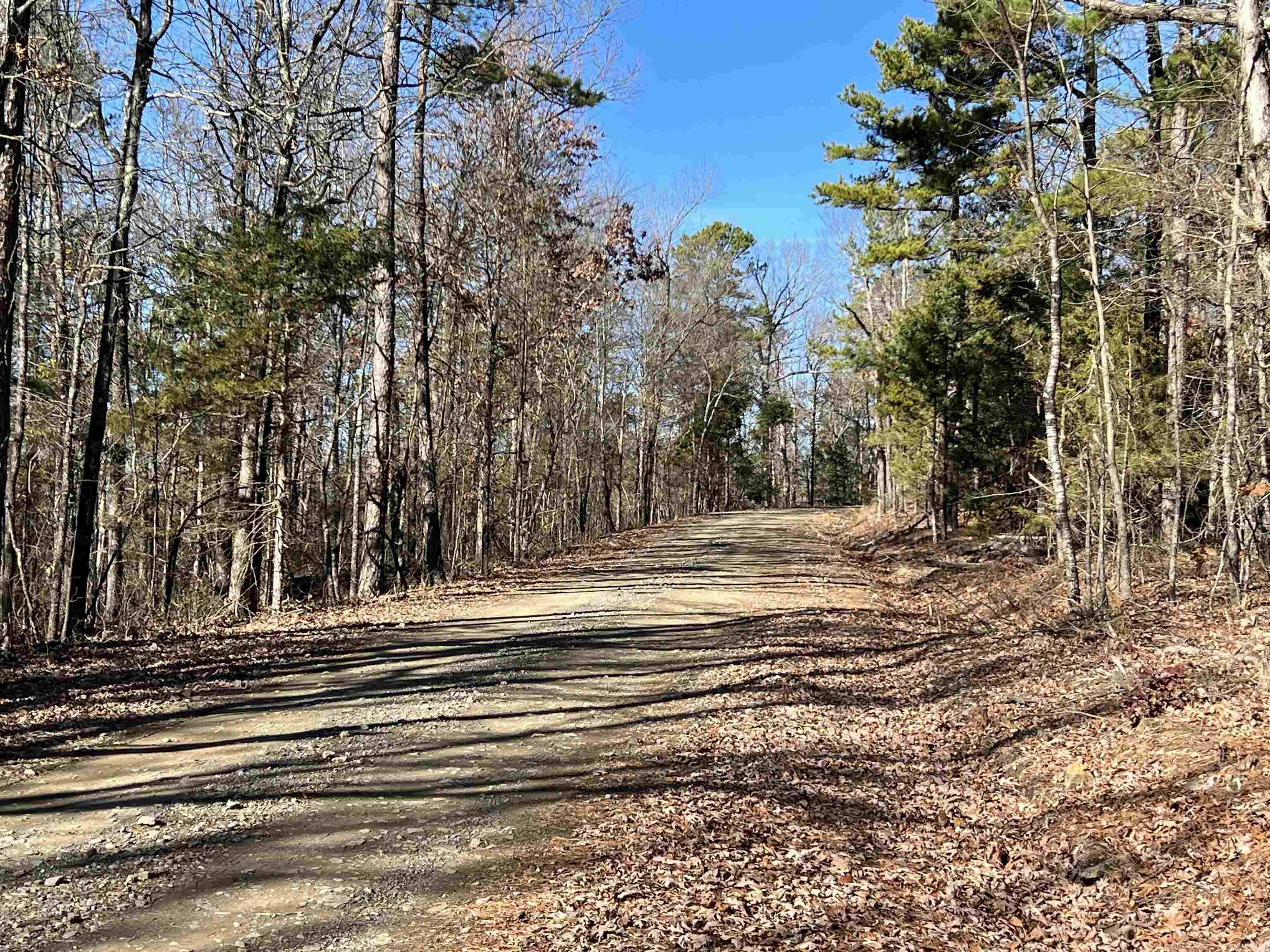 00  Bear Mountain Road  Greers Ferry, AR
