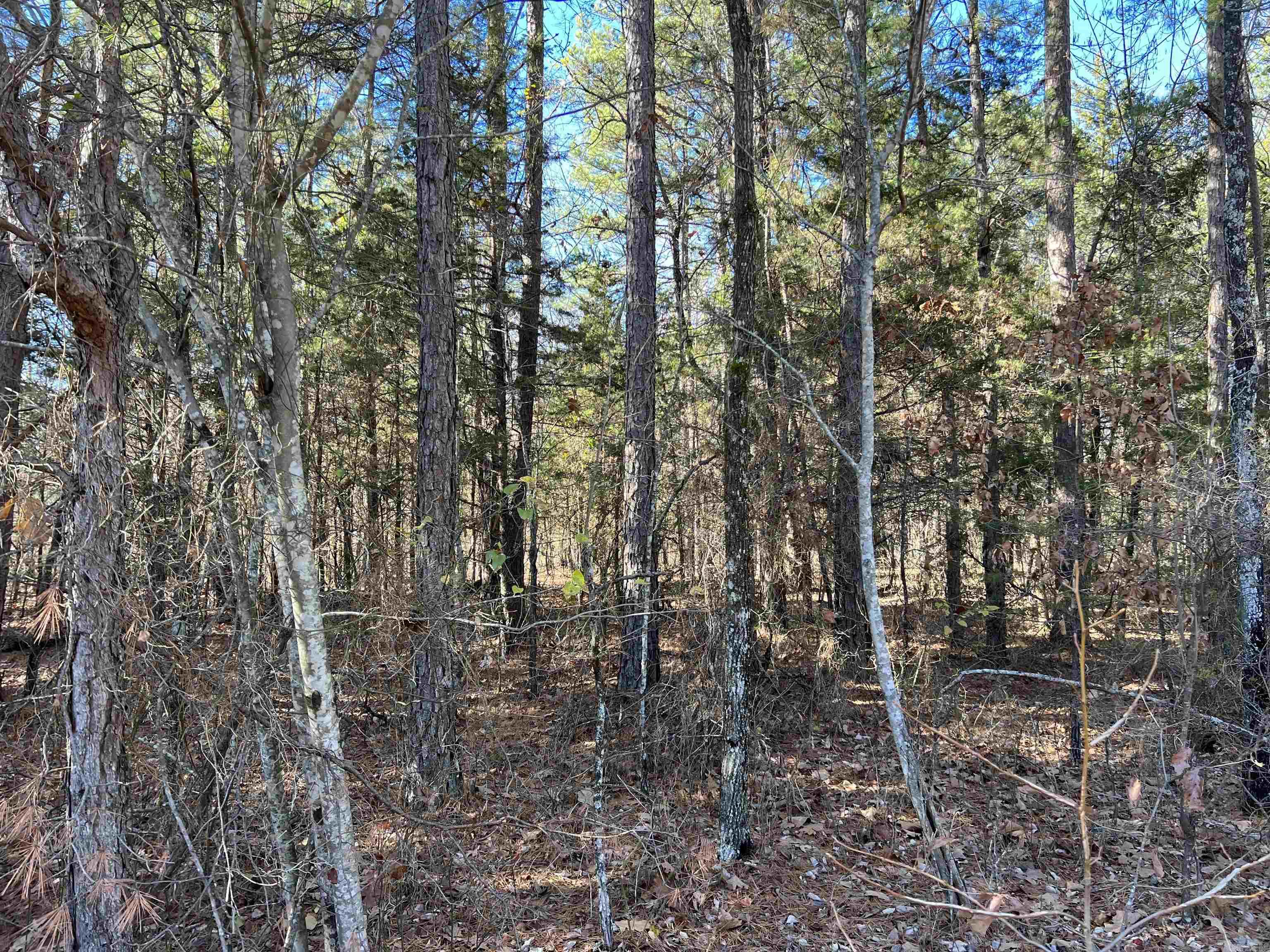 00  Bear Mountain Road  Greers Ferry, AR