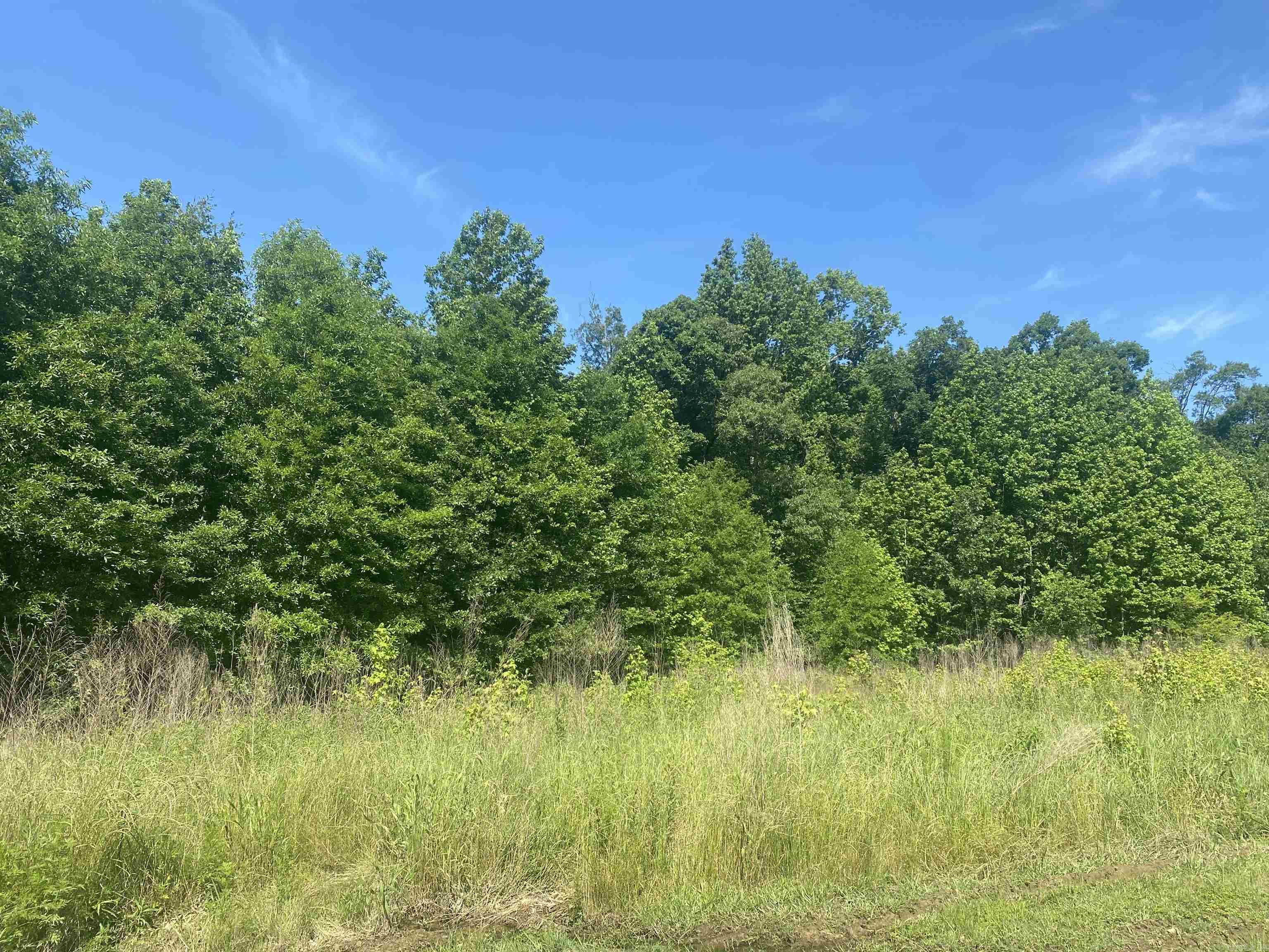 Lot 24  Cinel  Austin, AR