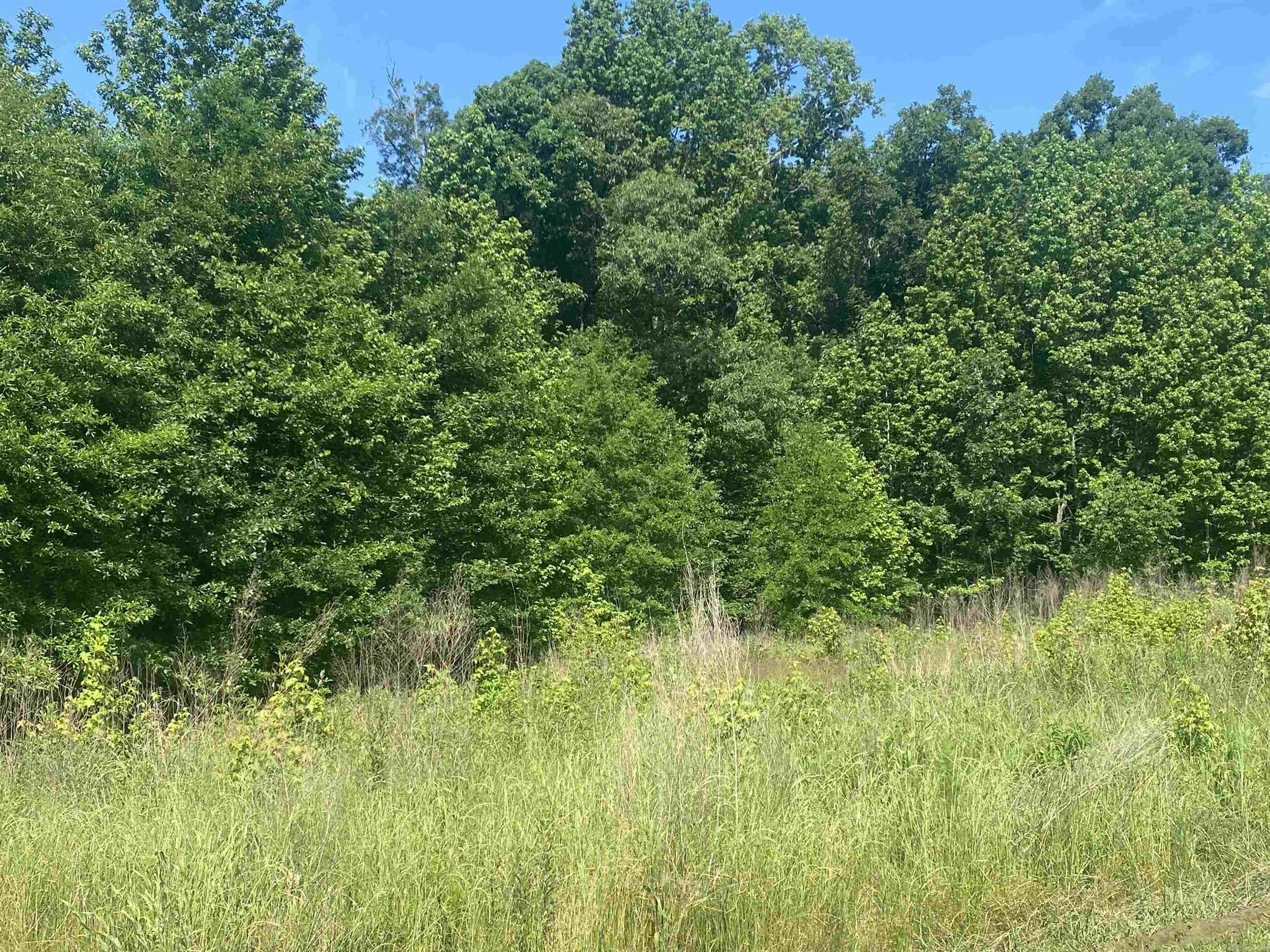 Lot 25  Cinel  Austin, AR