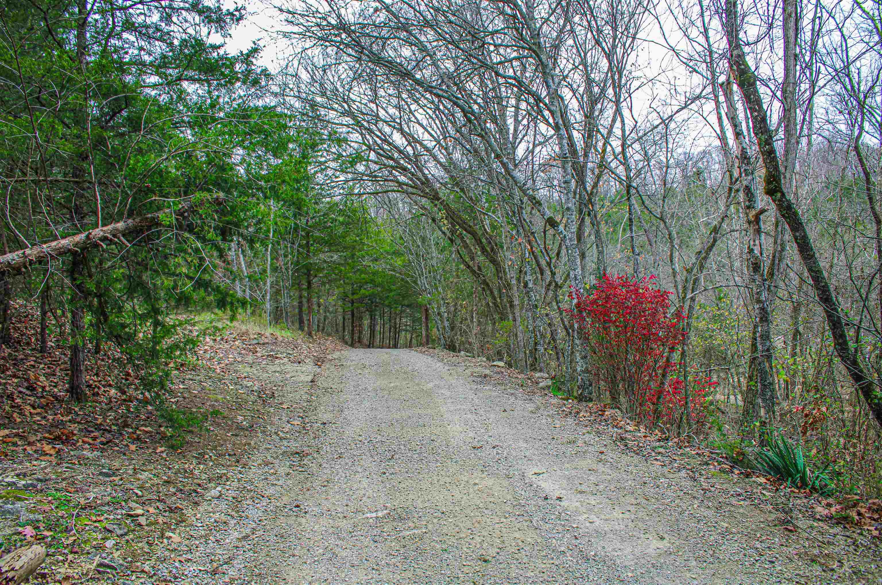 35  MC 6023  Yellville, AR