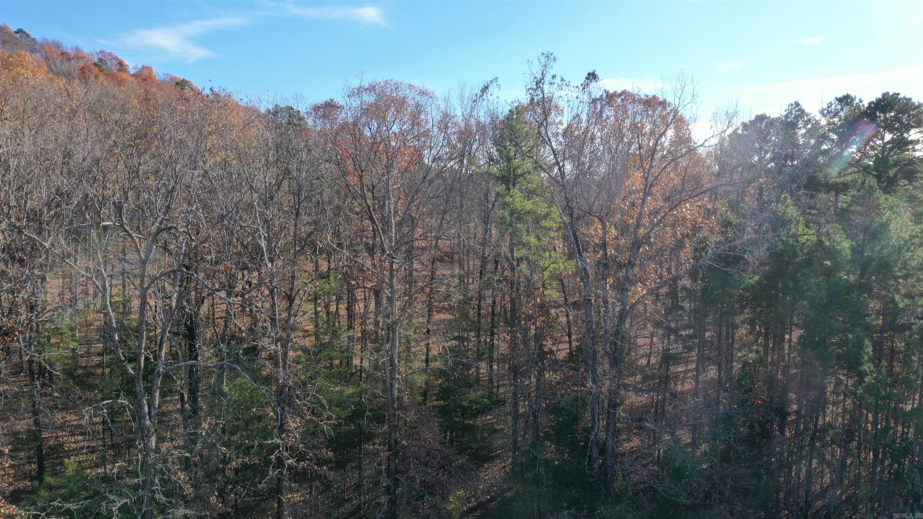 Lot 1  Old Military Rd  Conway, AR