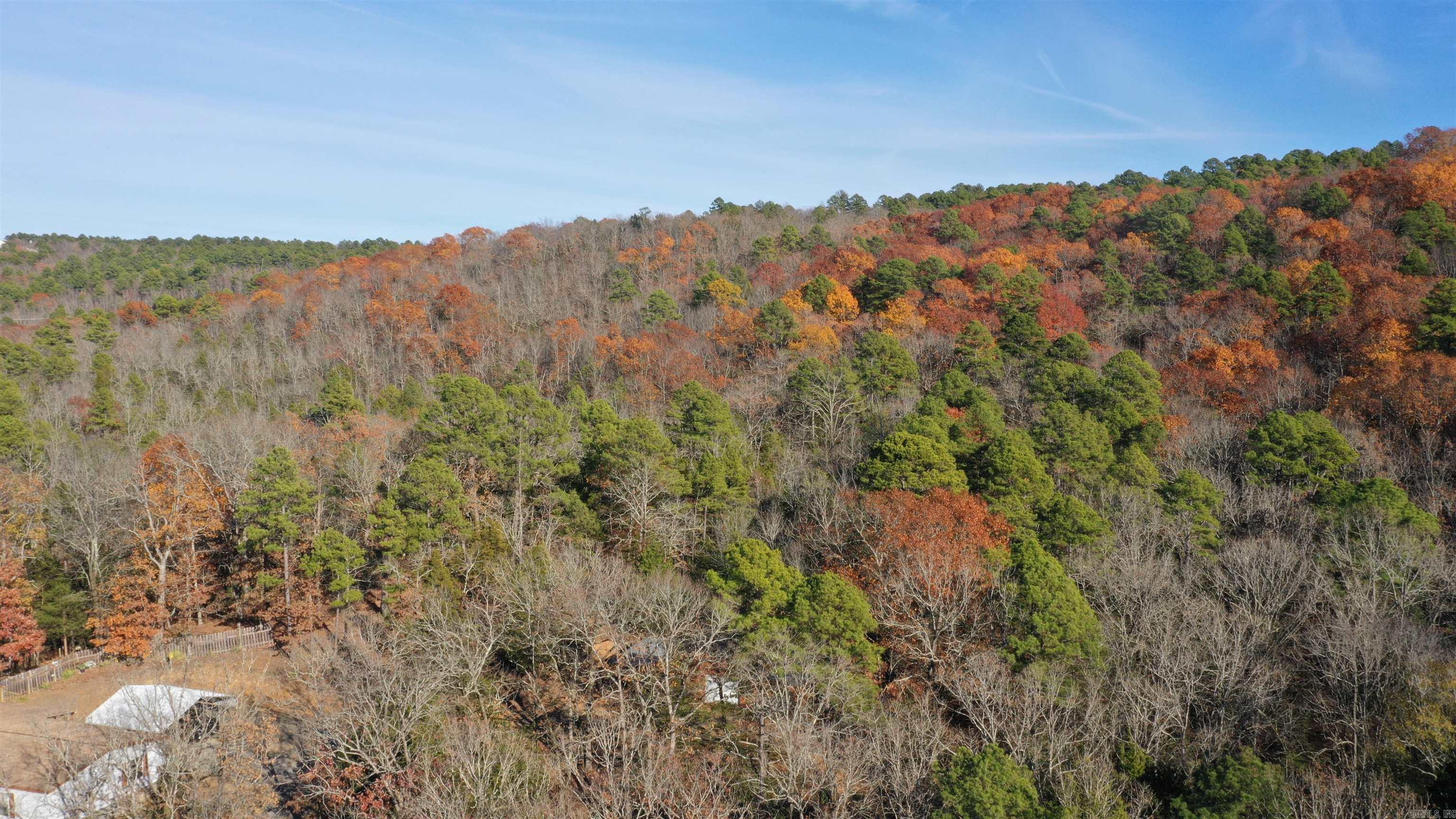 Lot 1  Old Military Rd  Conway, AR