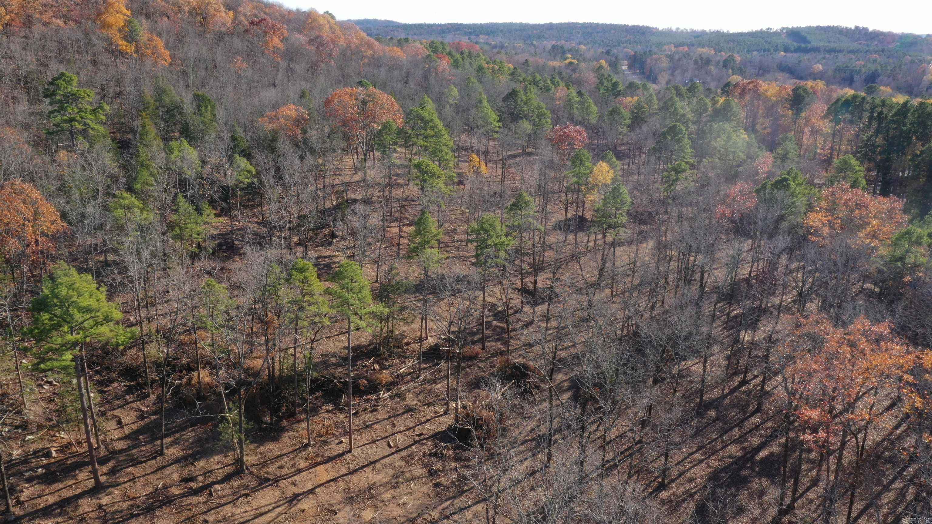Lot 1  Old Military Rd  Conway, AR