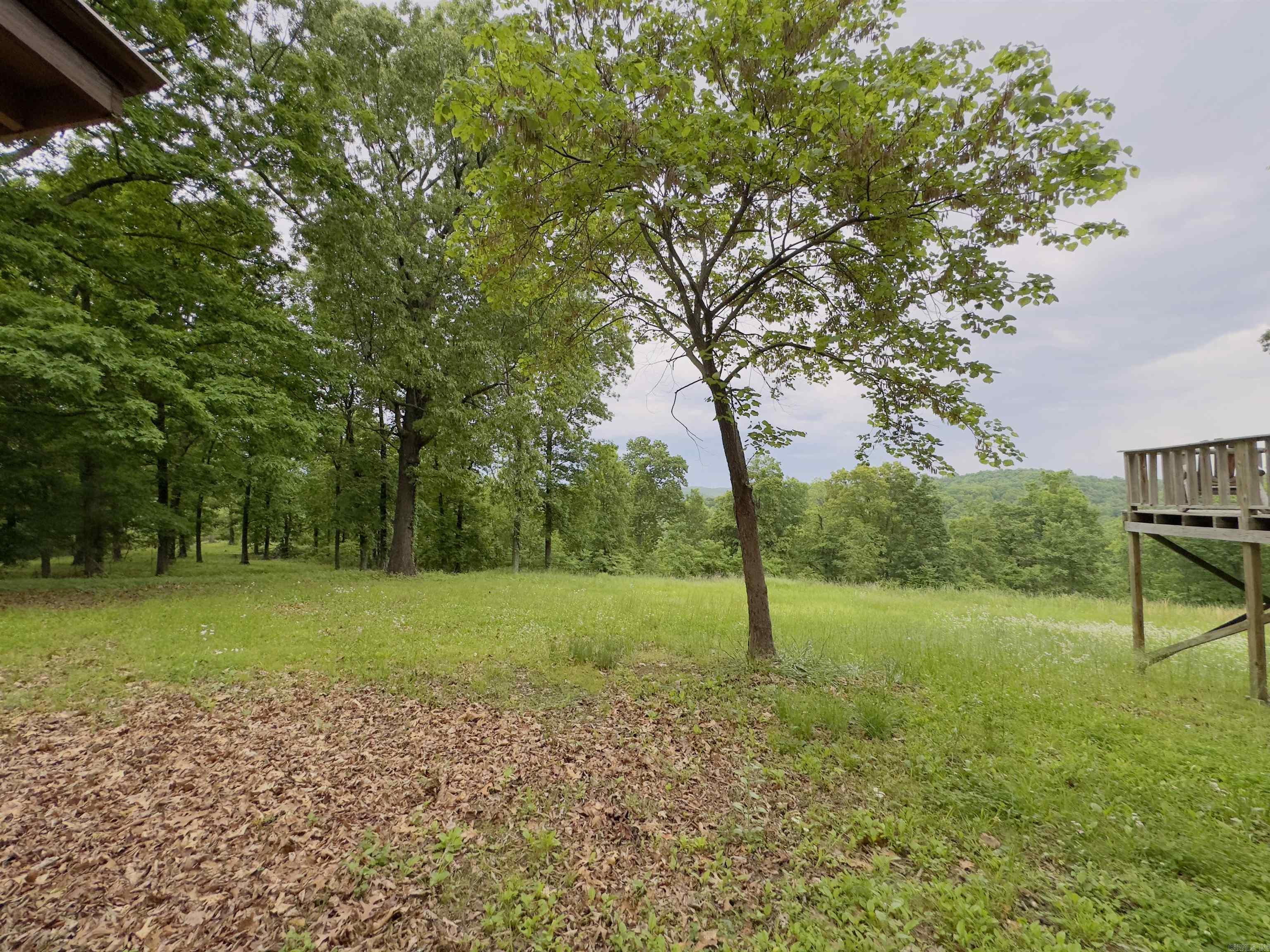1168  Love Hollow  Mount Pleasant, AR
