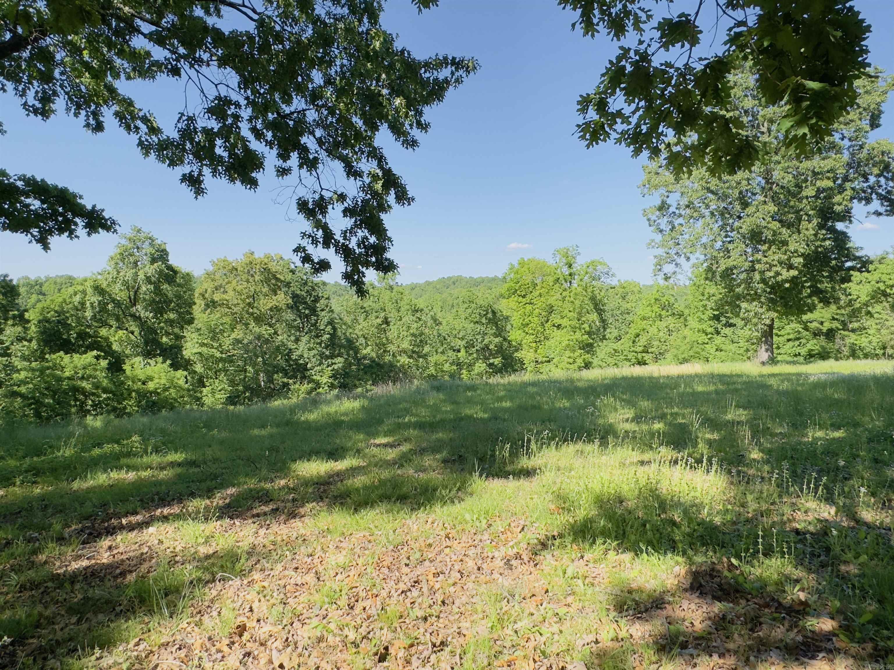 1168  Love Hollow  Mount Pleasant, AR