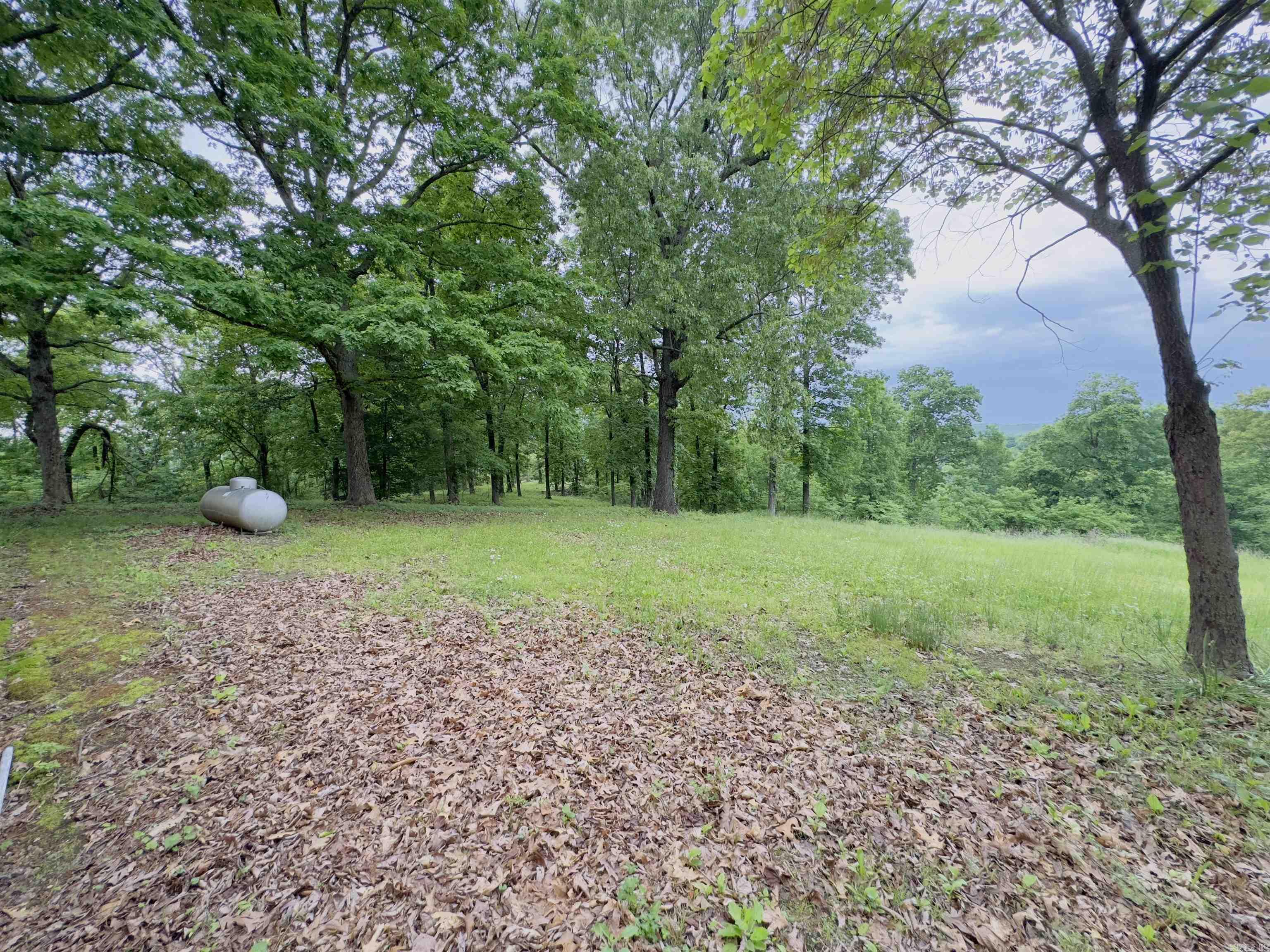 1168  Love Hollow  Mount Pleasant, AR