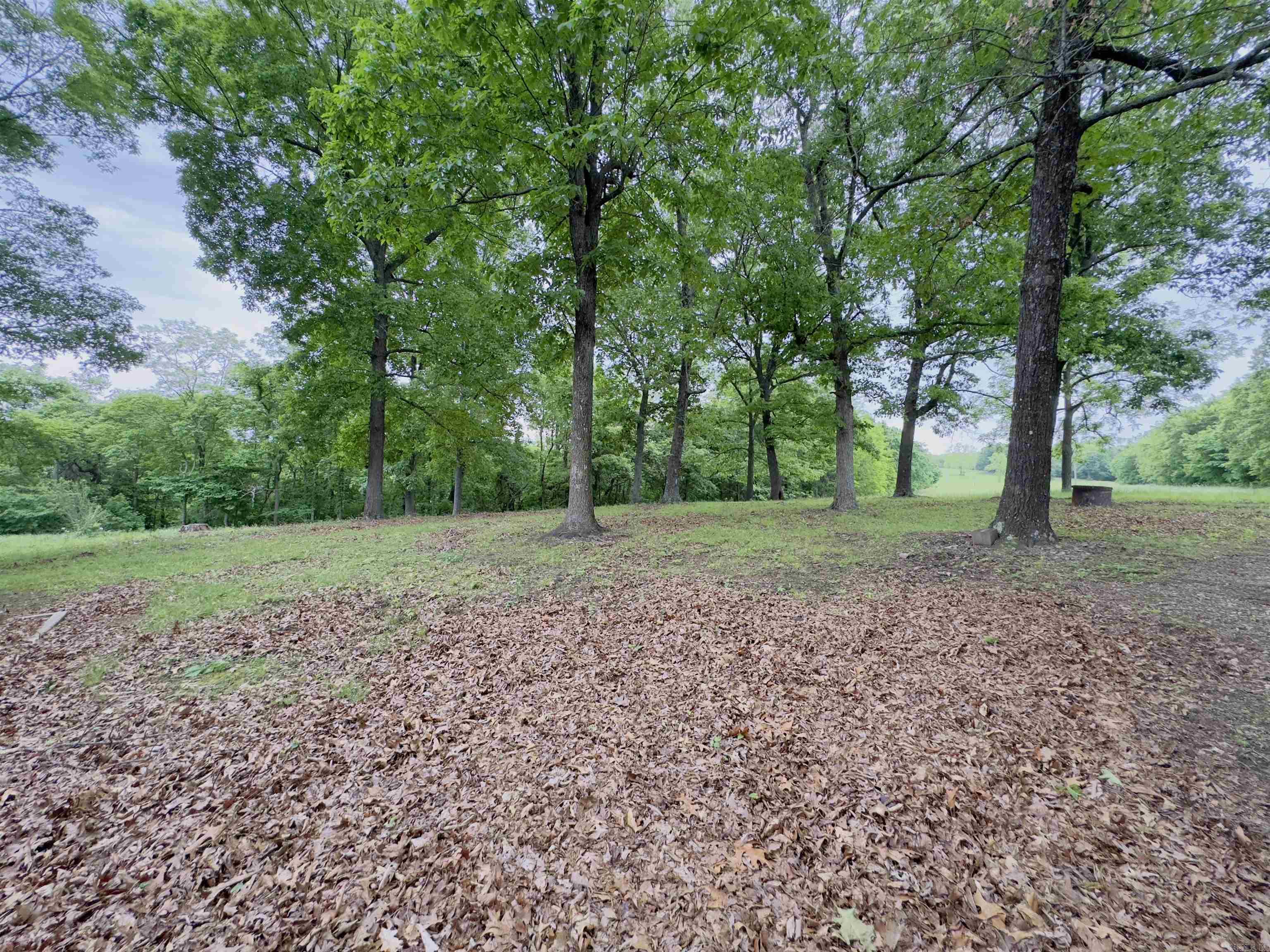 1168  Love Hollow  Mount Pleasant, AR