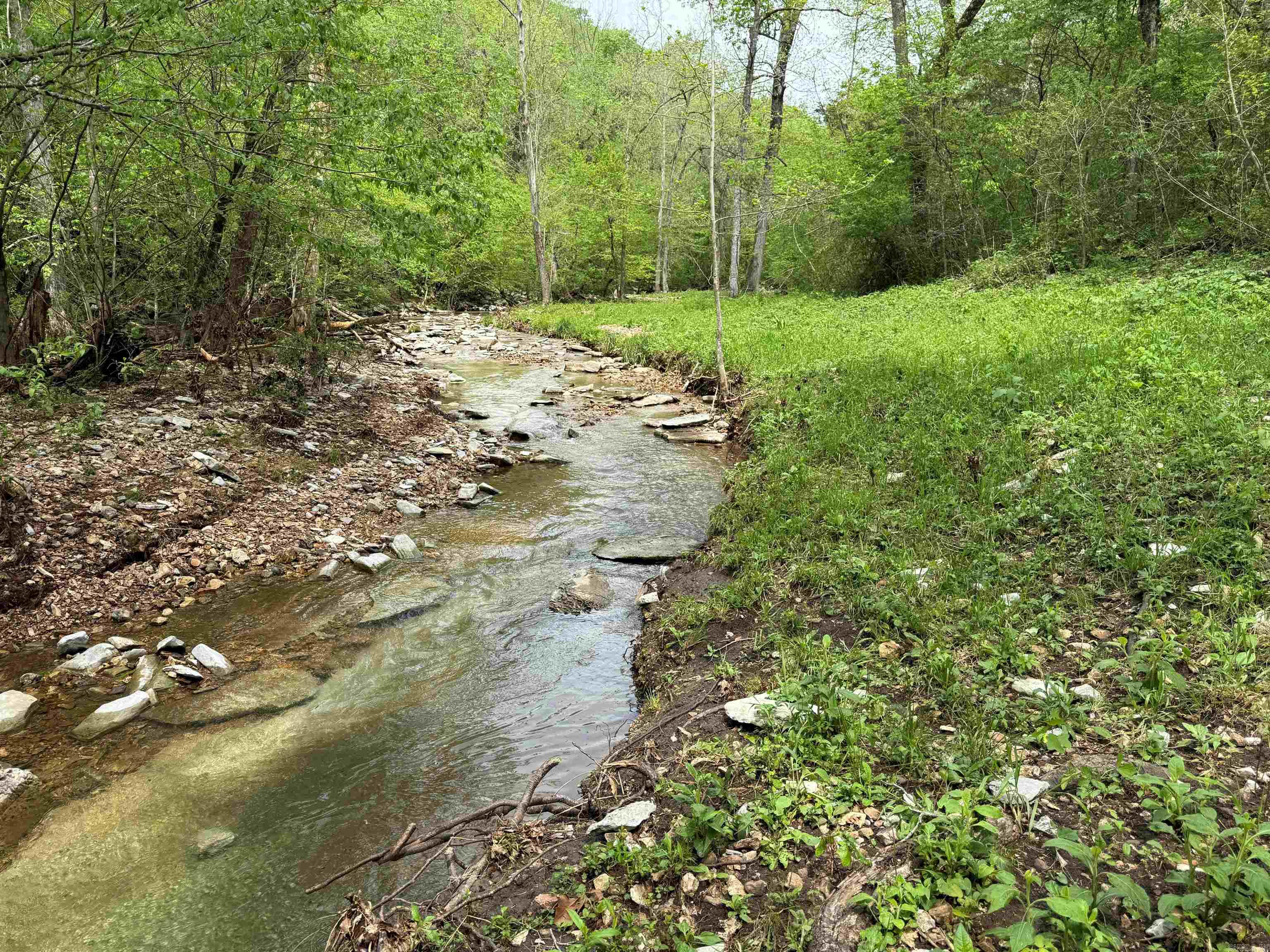 1168  Love Hollow  Mount Pleasant, AR