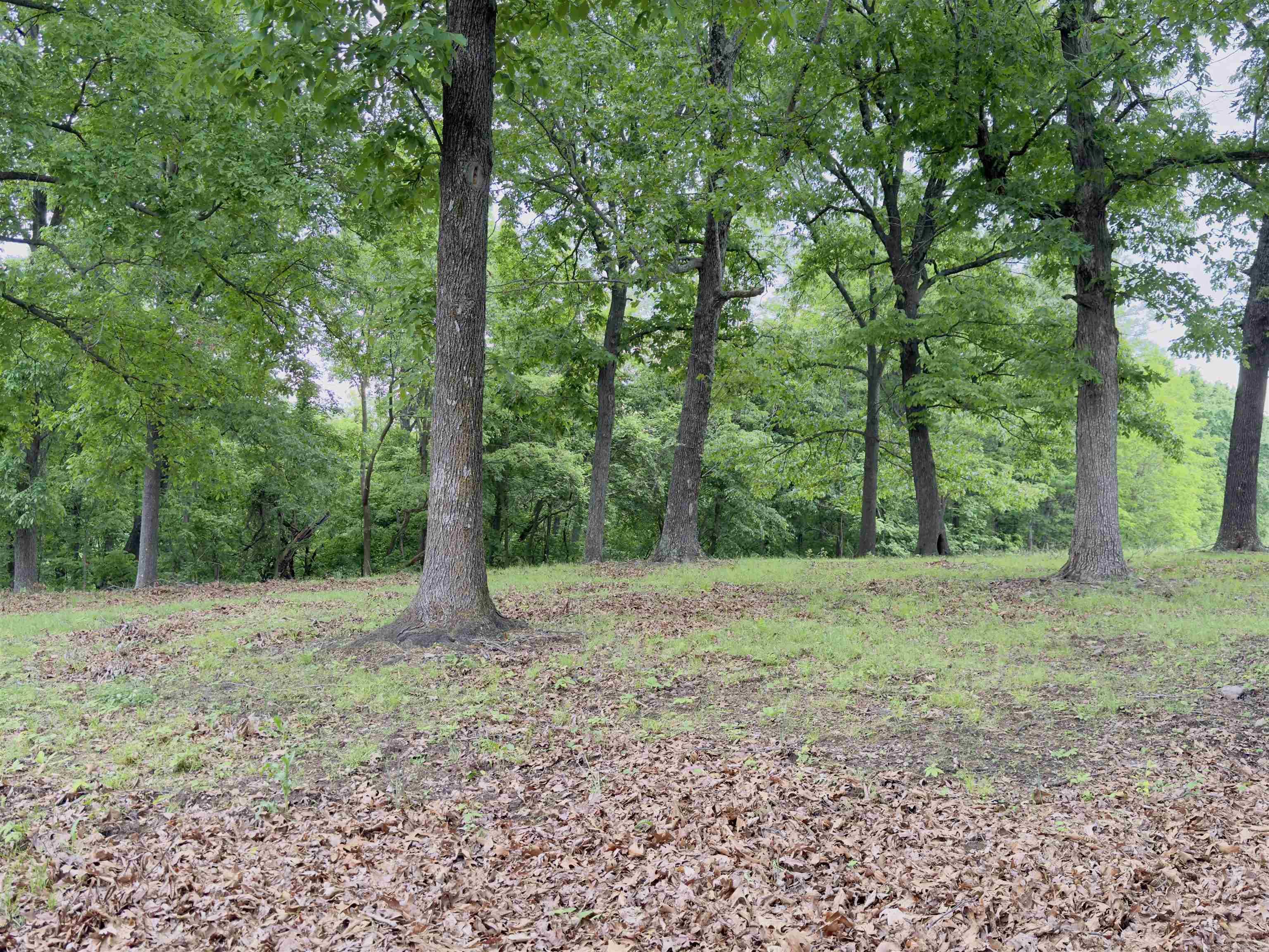 1168  Love Hollow  Mount Pleasant, AR